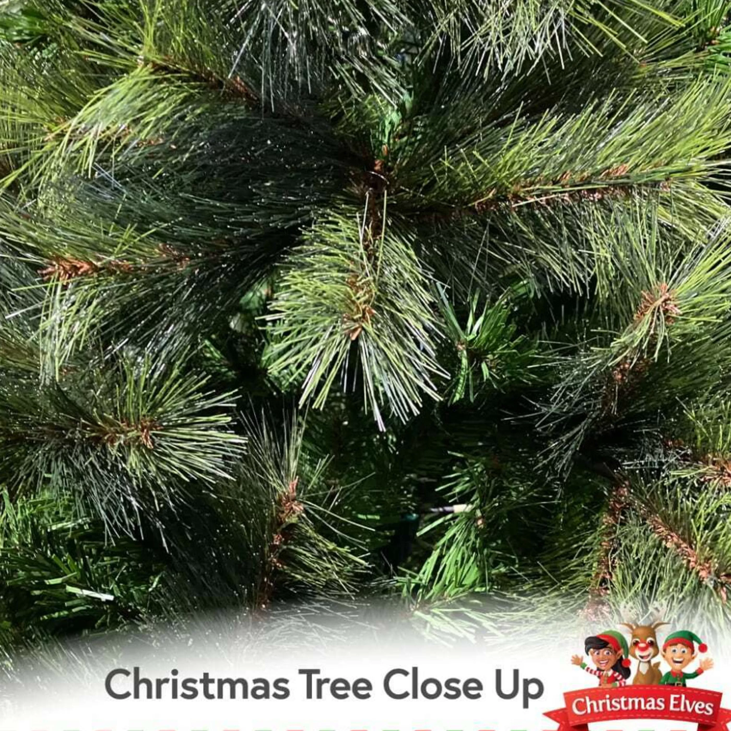 Best Sale Black Box Trees 12Ft Washington Fir Green Christmas Tree