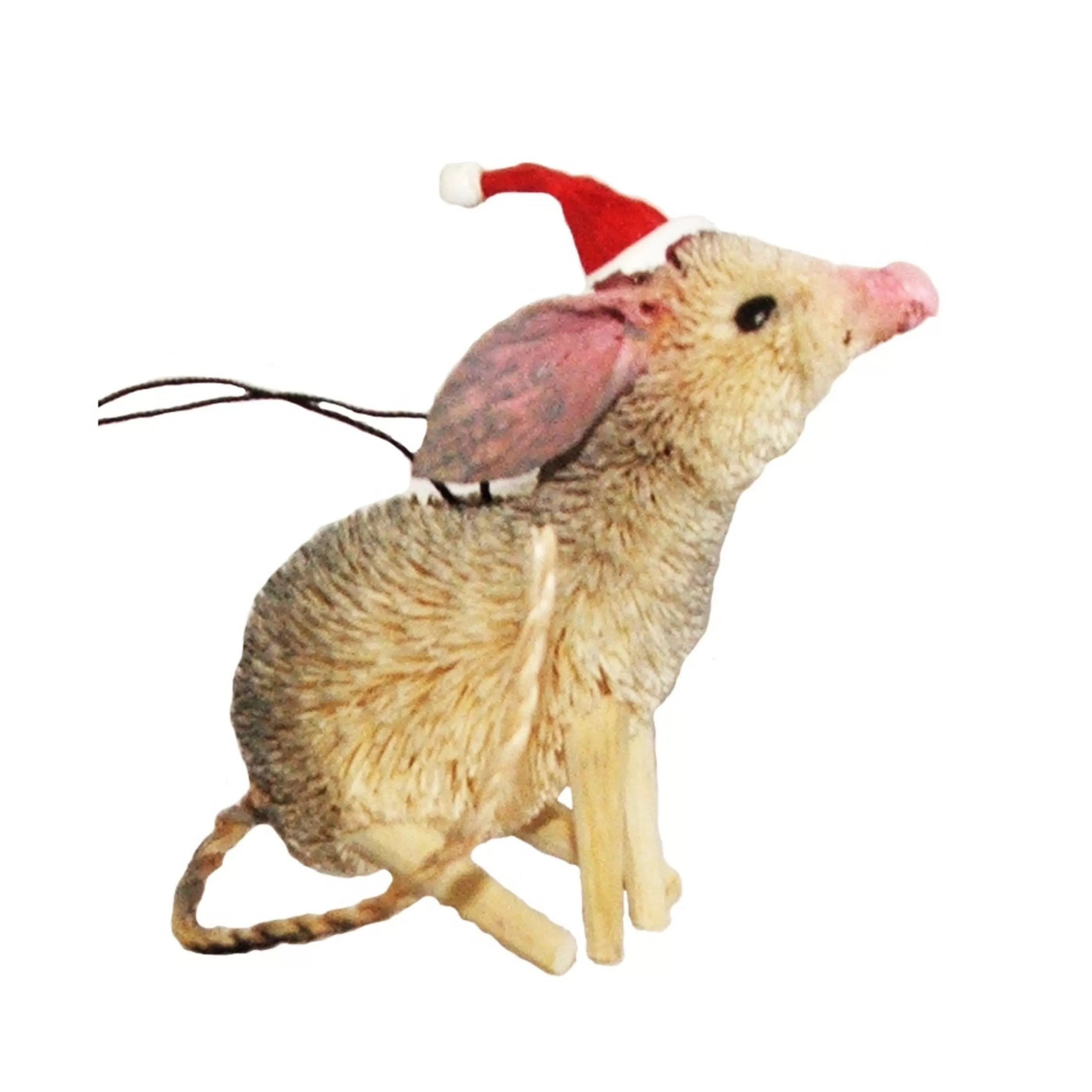 * Australian Decorations | Aussie Bilby With Christmas Hat Ornament - 10Cm