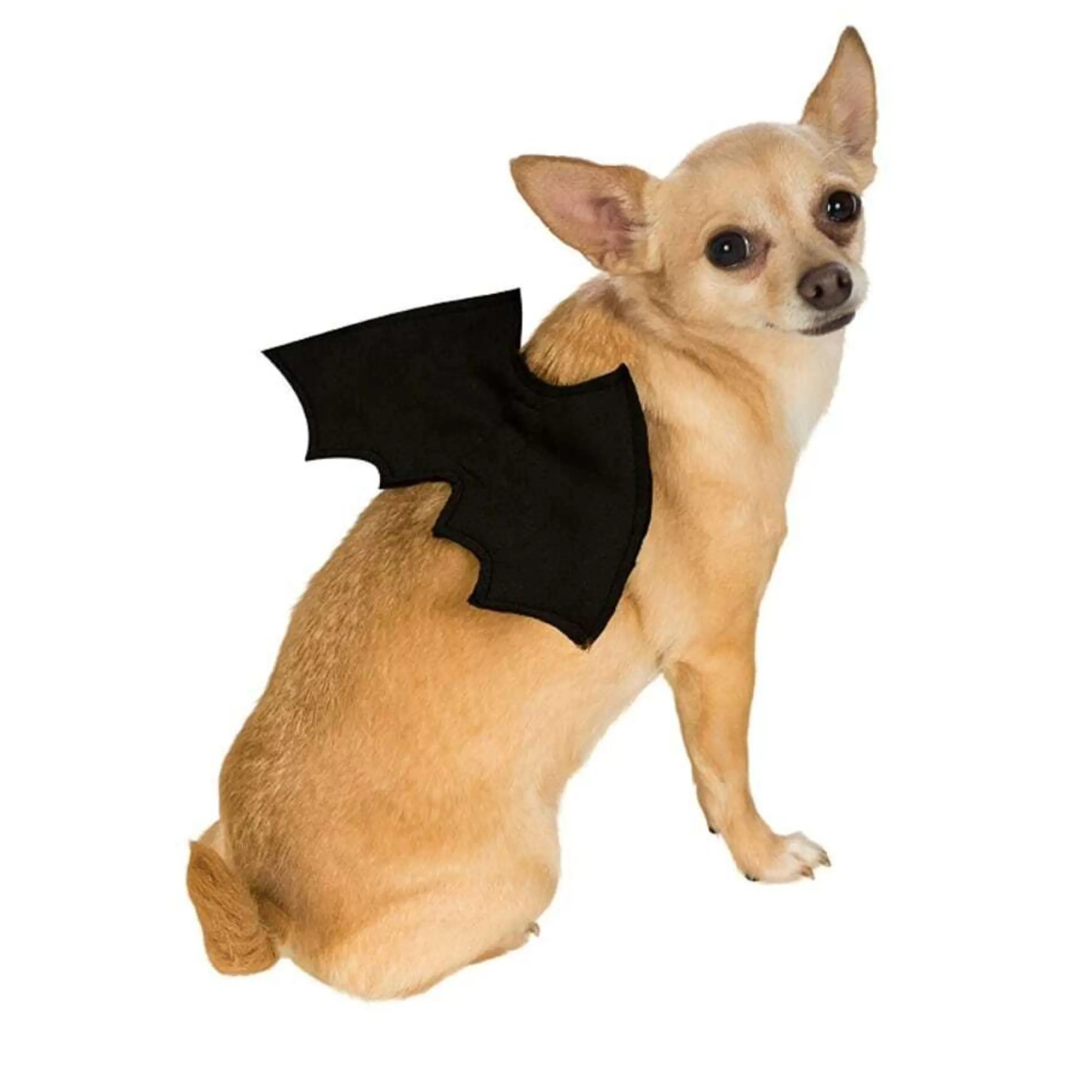 Online * Bat Wings Pet Costume - Size M-L