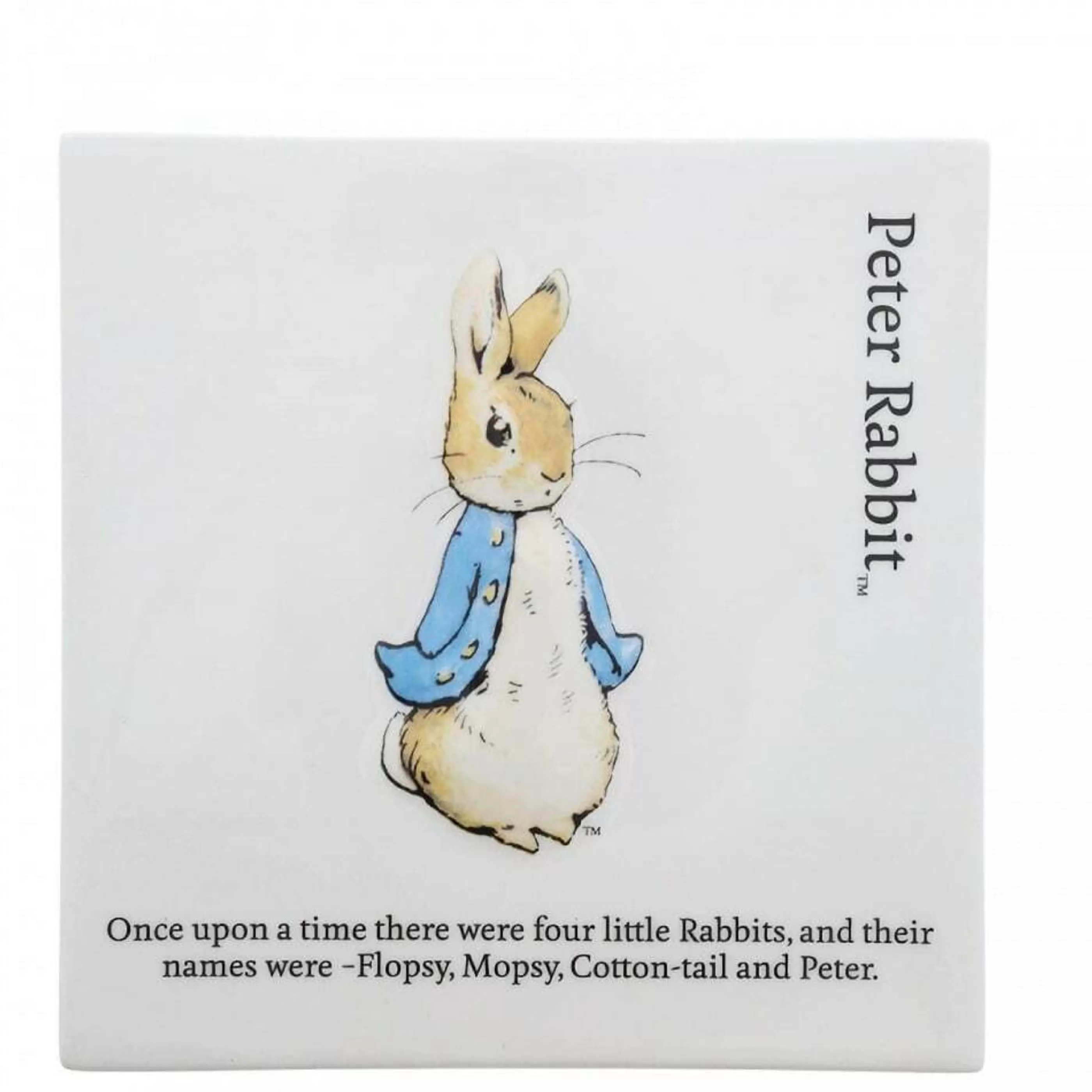 Beatrix Potter - Peter Rabbit Baby's First Christmas | Beatrix Potter Peter Rabbit Plaque - 15.5Cm