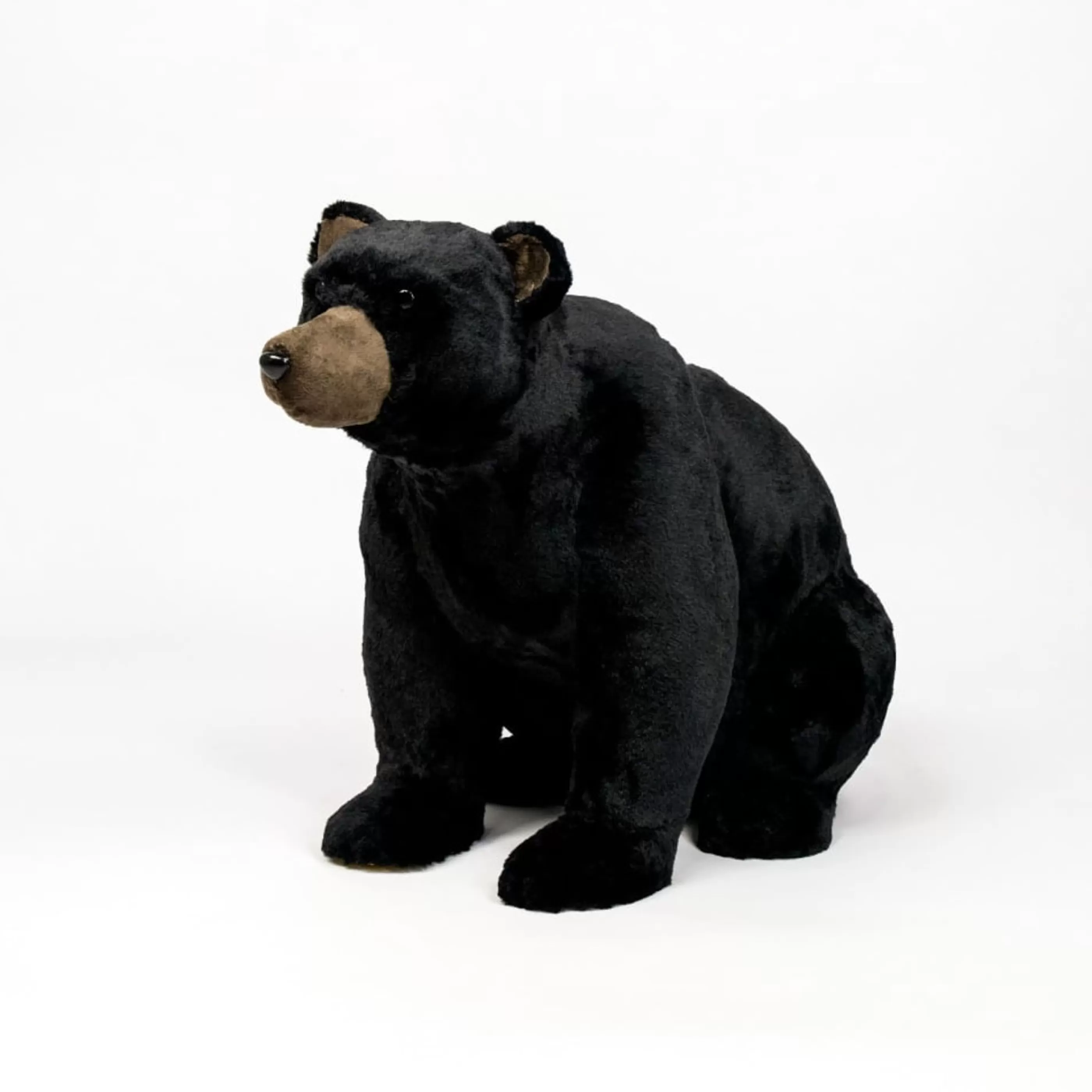 Store * Black Bear Sitting - 73Cm