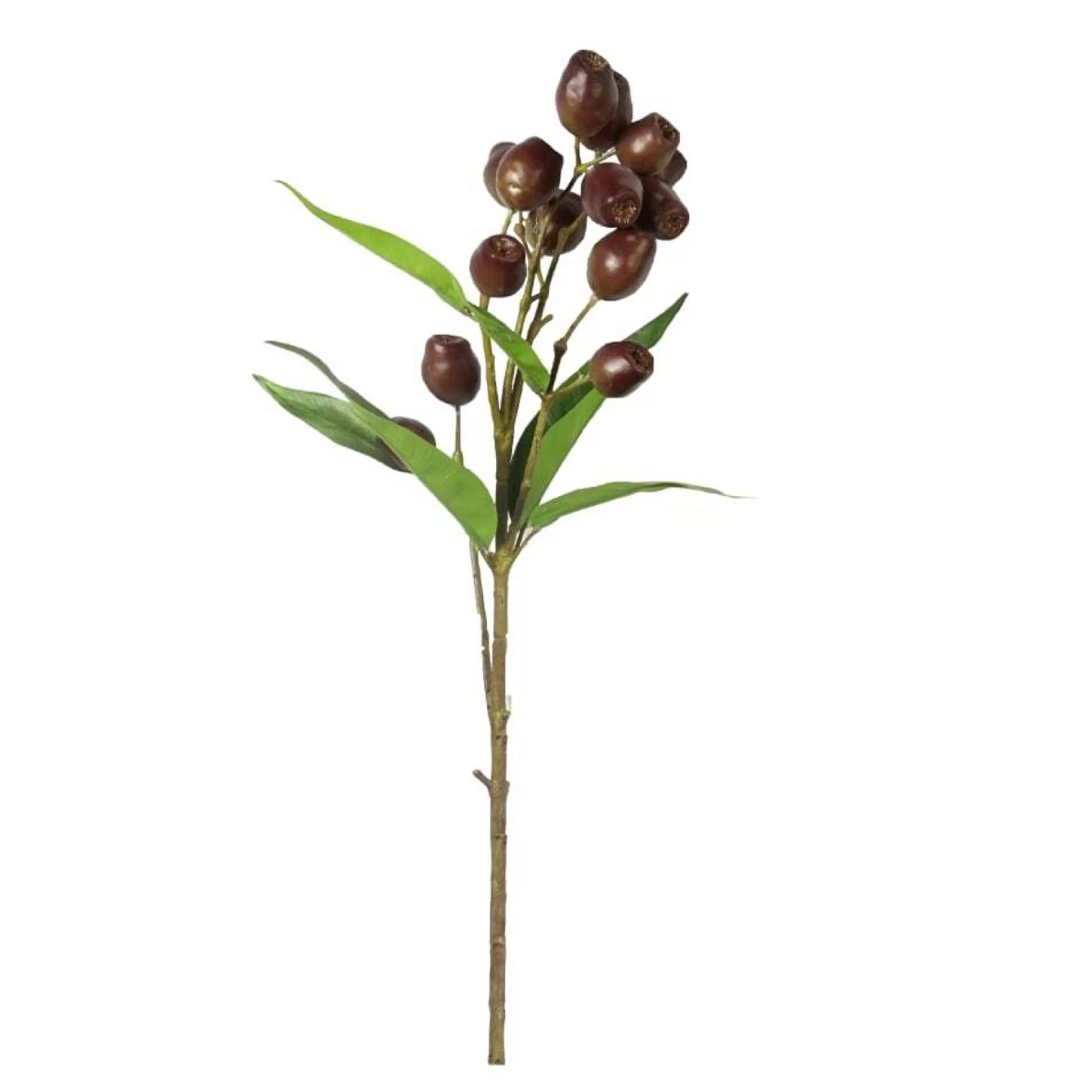 * Floristry | Brown Green Gumnuts Spray (2 Styles) - 67Cm