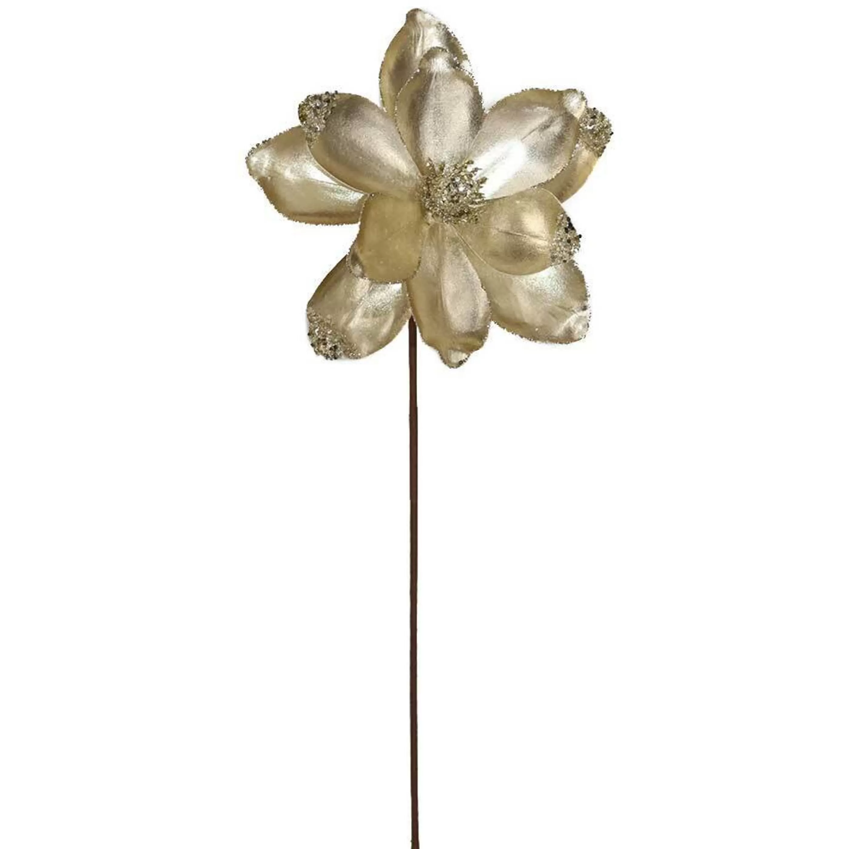 * Floristry | Champagne Magnolia With Stem - 25Cm