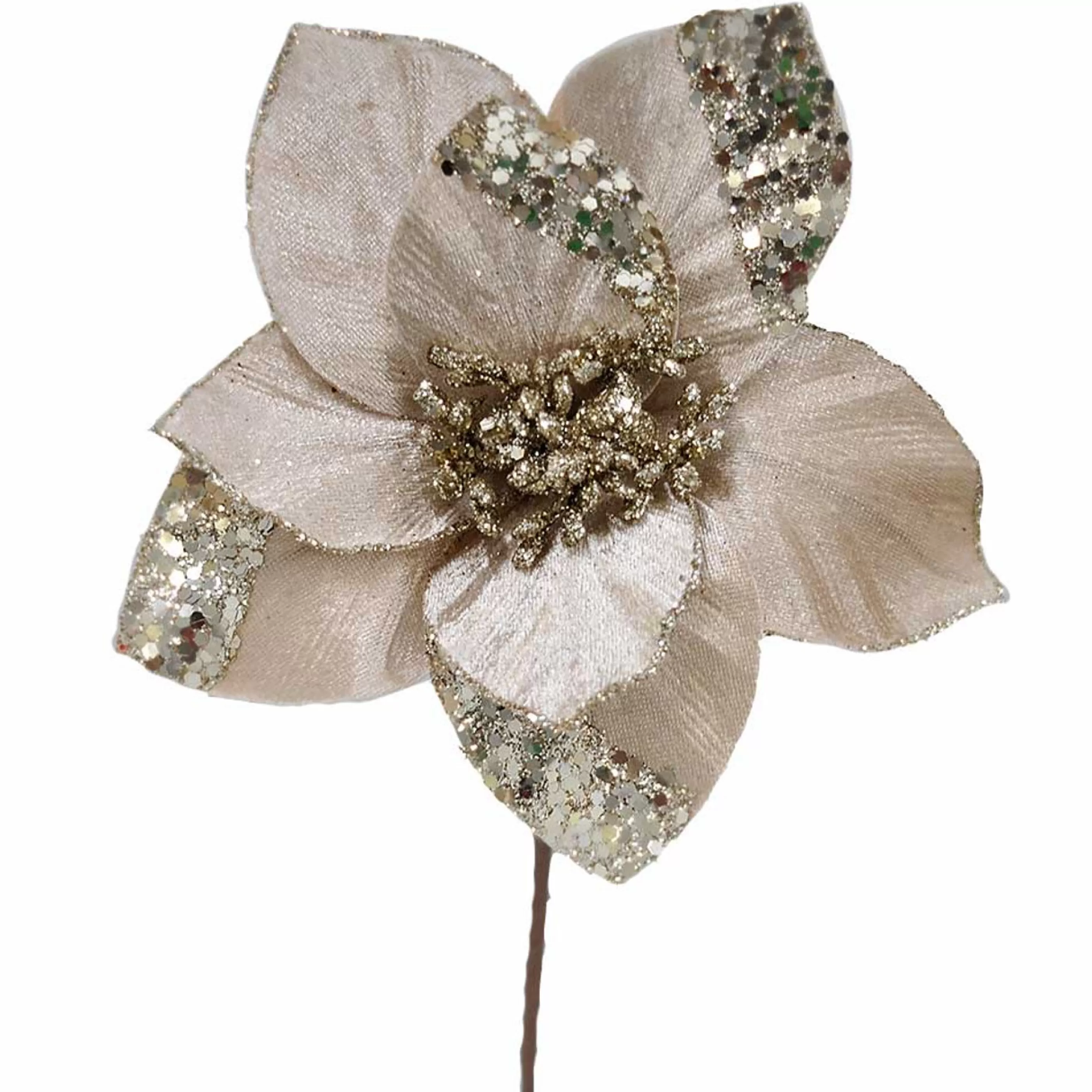 * Floristry | Champagne Poinsettia On Clip - 18Cm