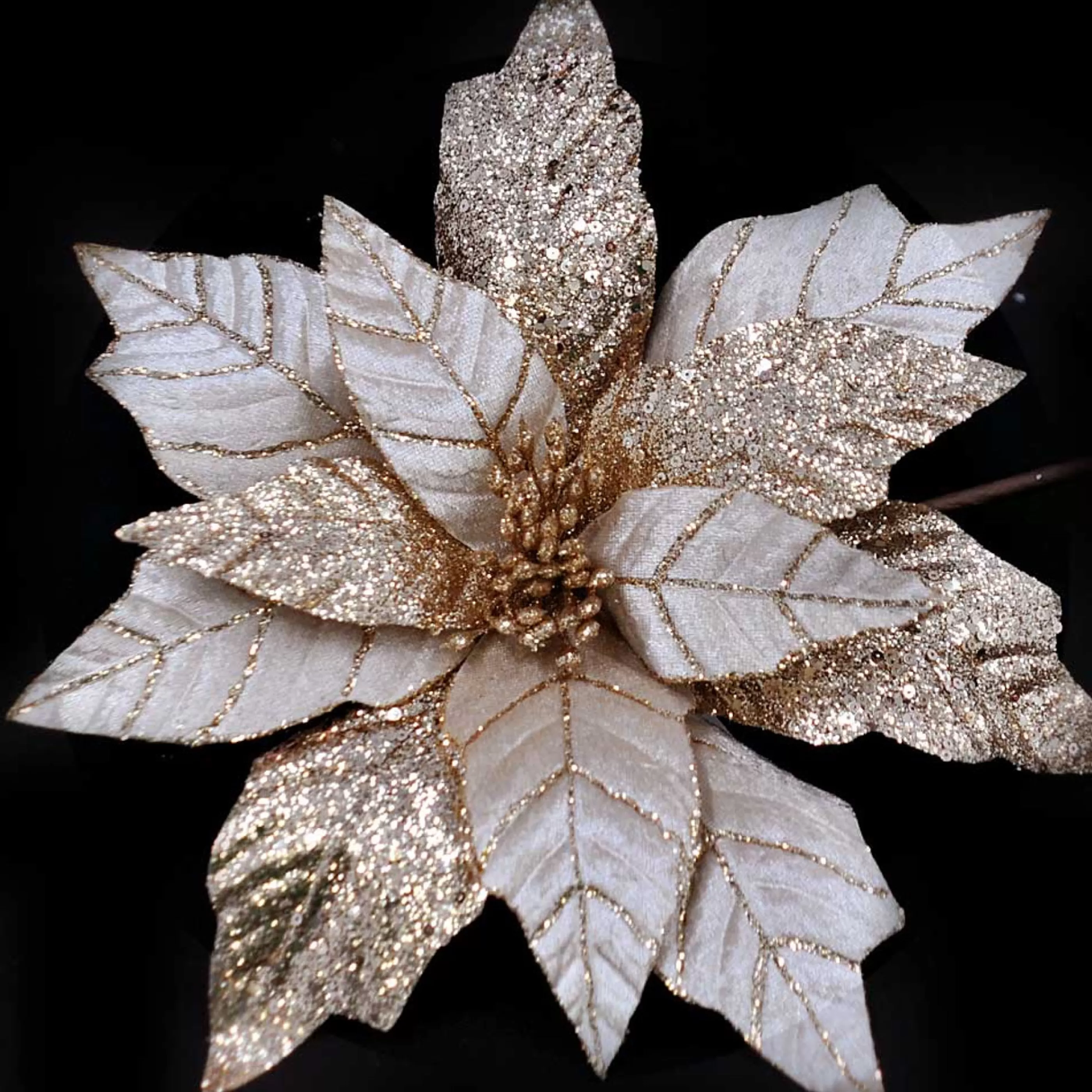 * Poinsettia Decorations | Champagne Poinsettia With Glittered Petals - 35Cm