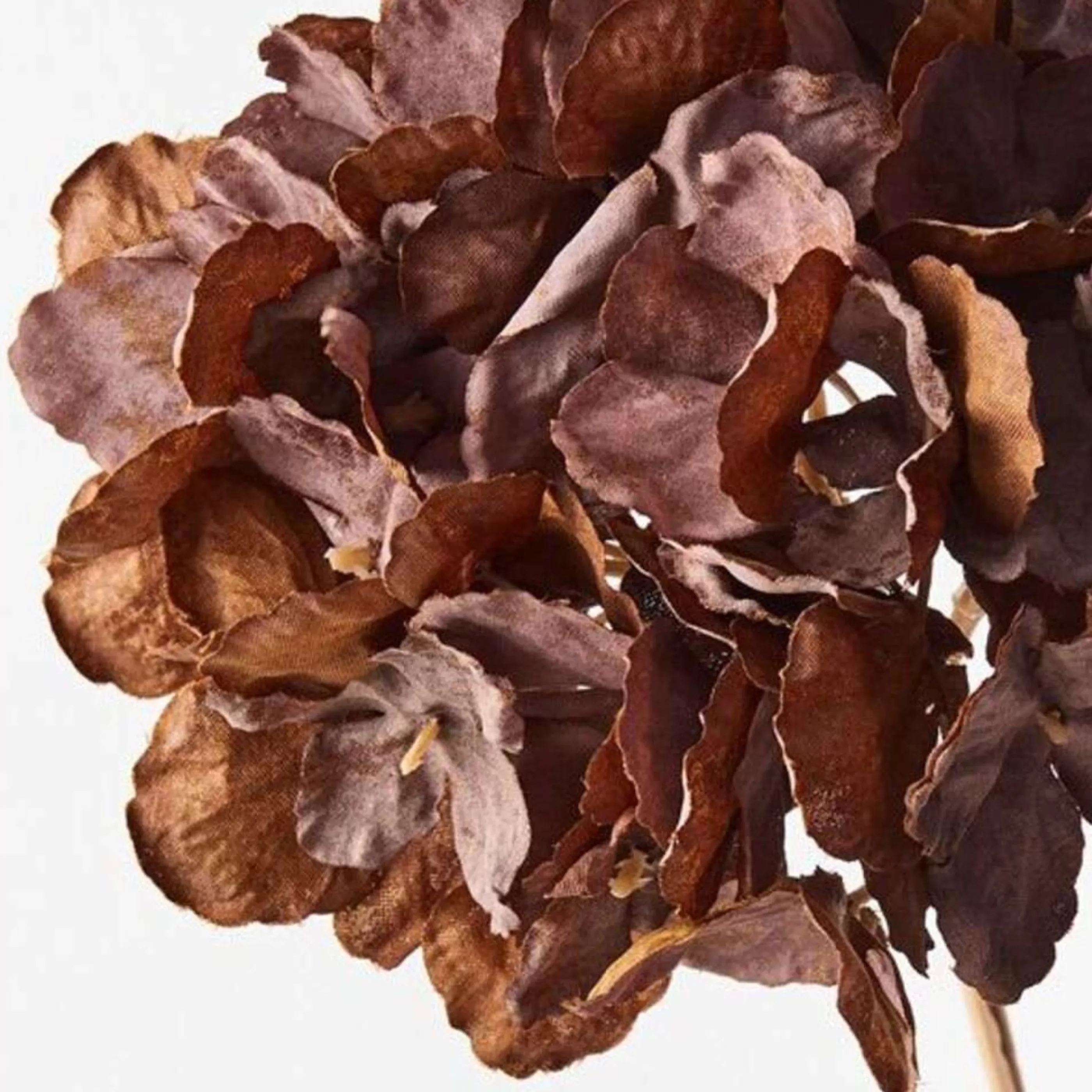 * Floristry | Chocolate Brown Hydrangea Flower Stem - 52Cm