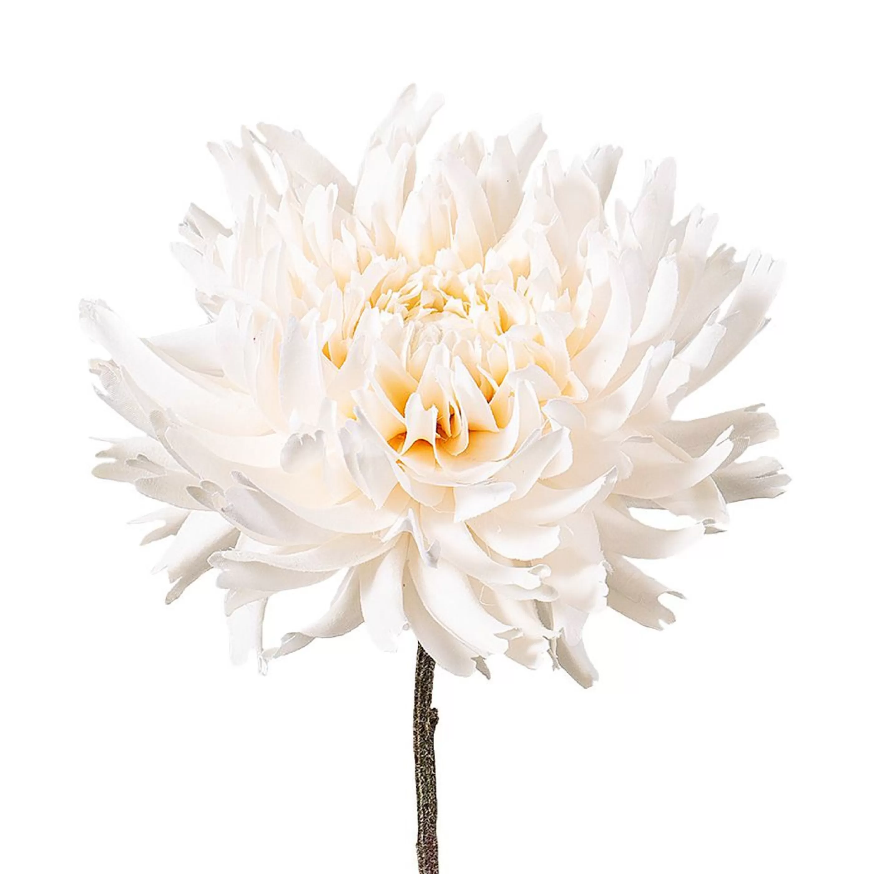 * Floristry | Cream Dahlia Spray - 56Cm