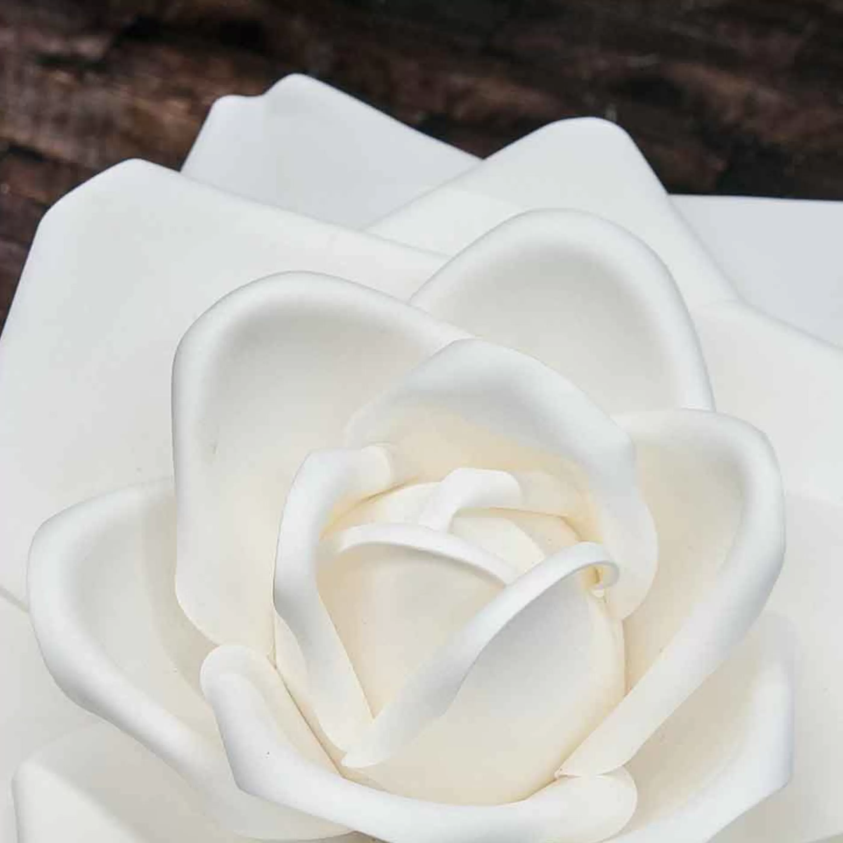 * Floristry | Cream Rose Head - 61Cm