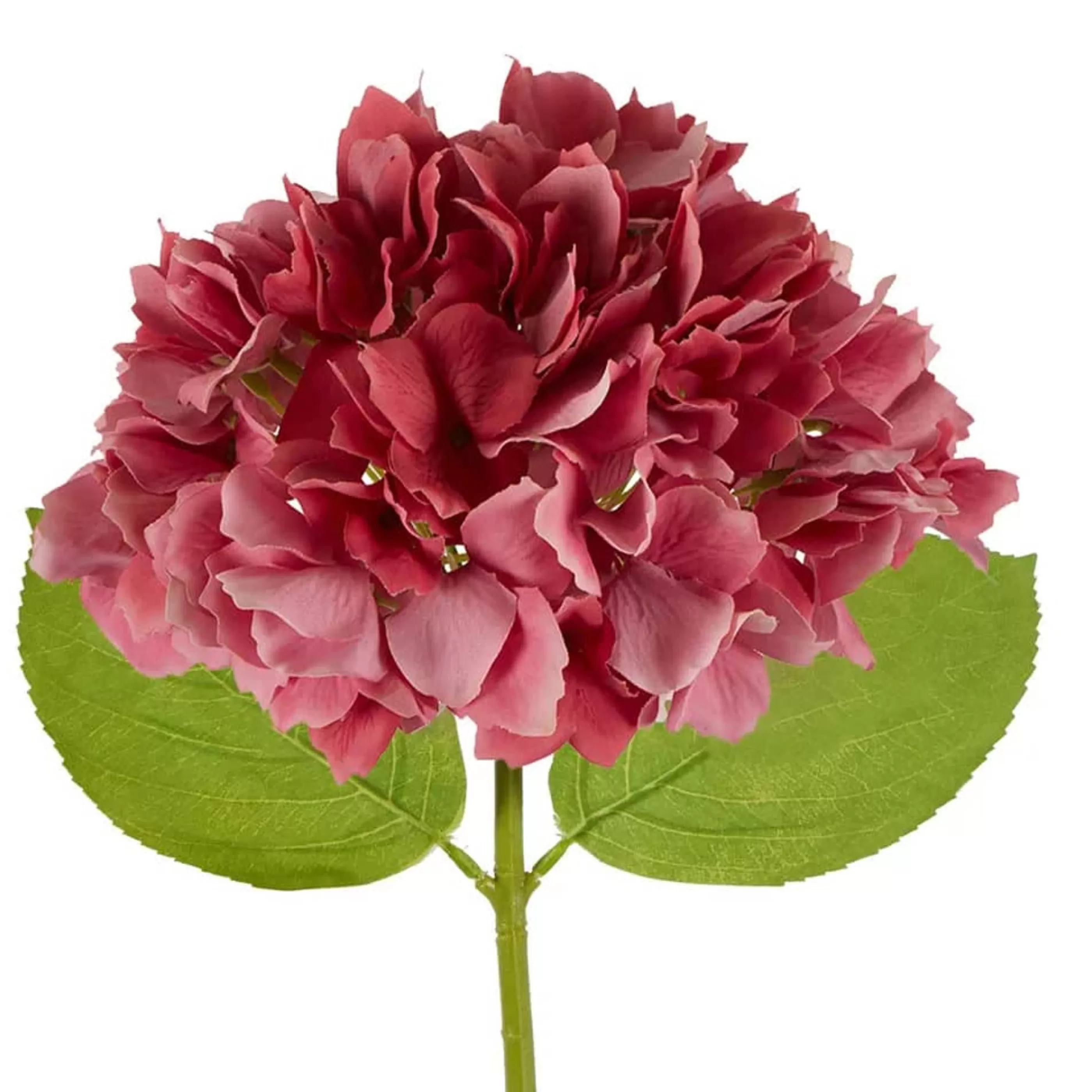 * Floristry | Dark Pink Hydrangea Stem - 50Cm