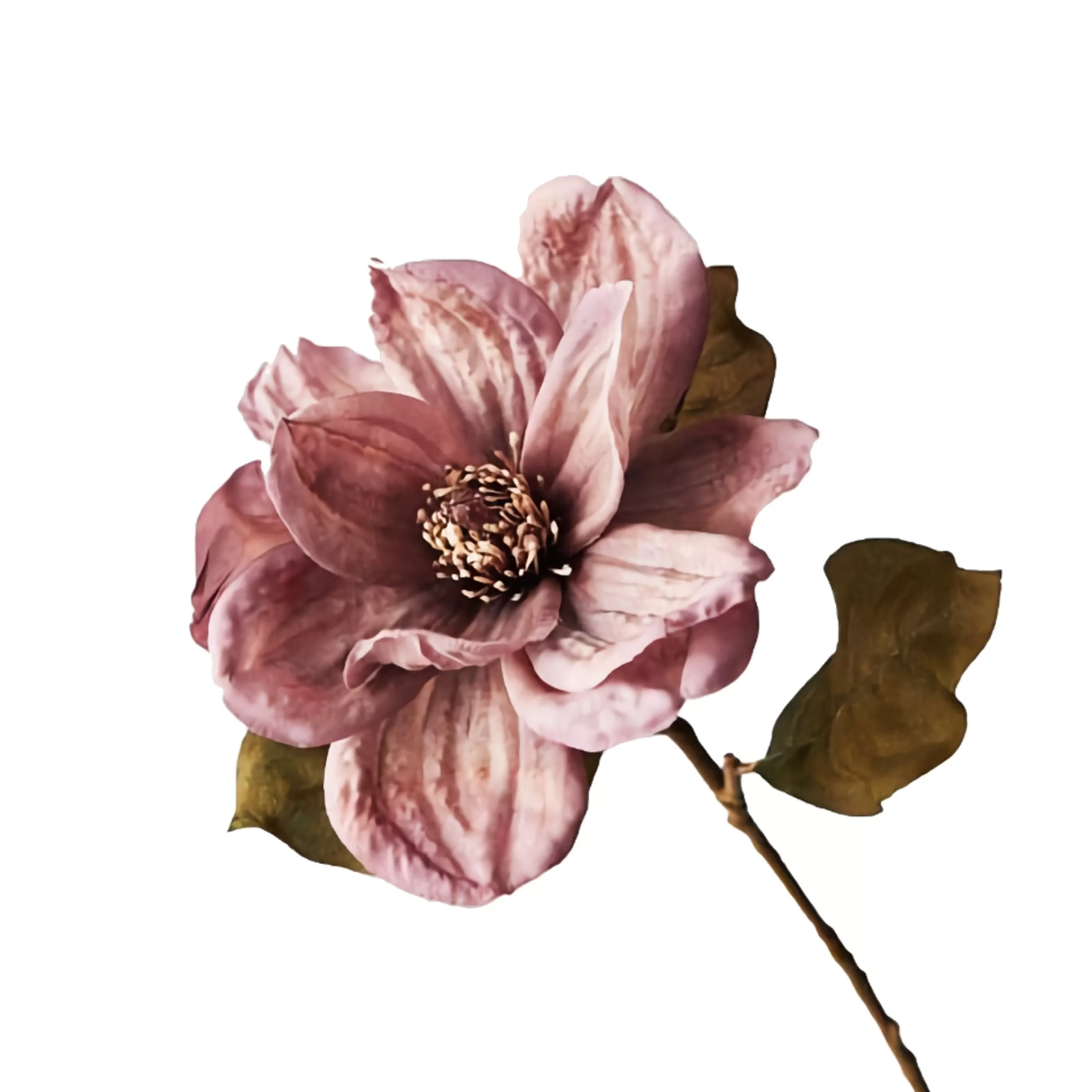 * Floristry | Dusty Mauve Magnolia Stem - 66Cm