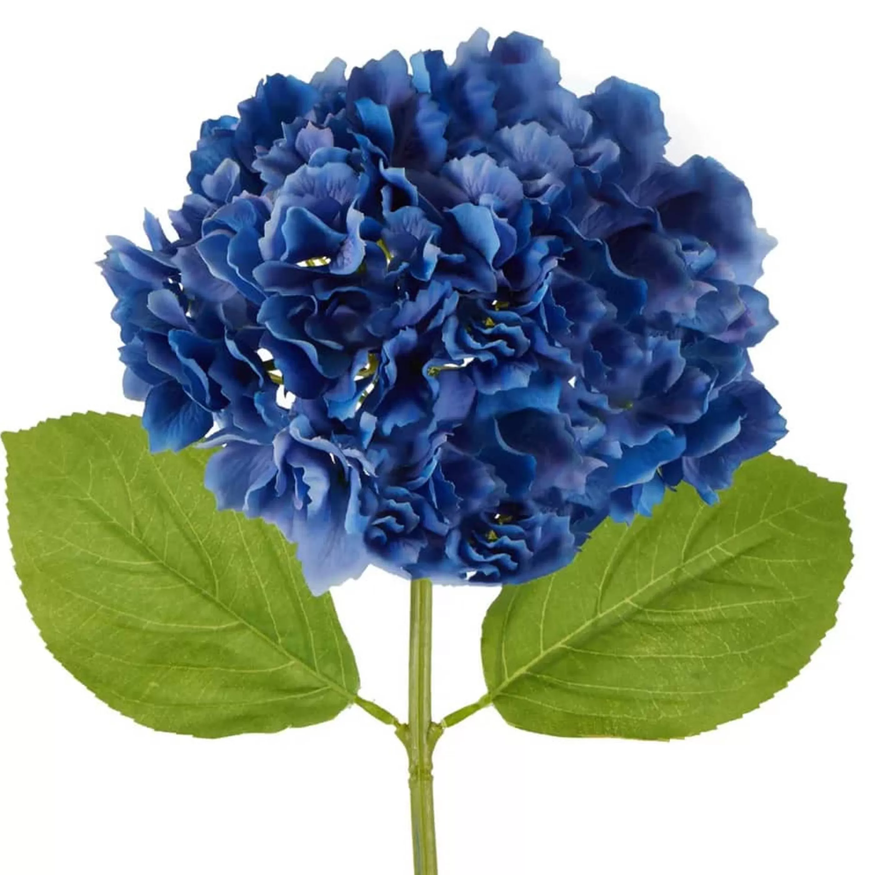 * Floristry | Electric Blue Hydrangea Stem - 50Cm