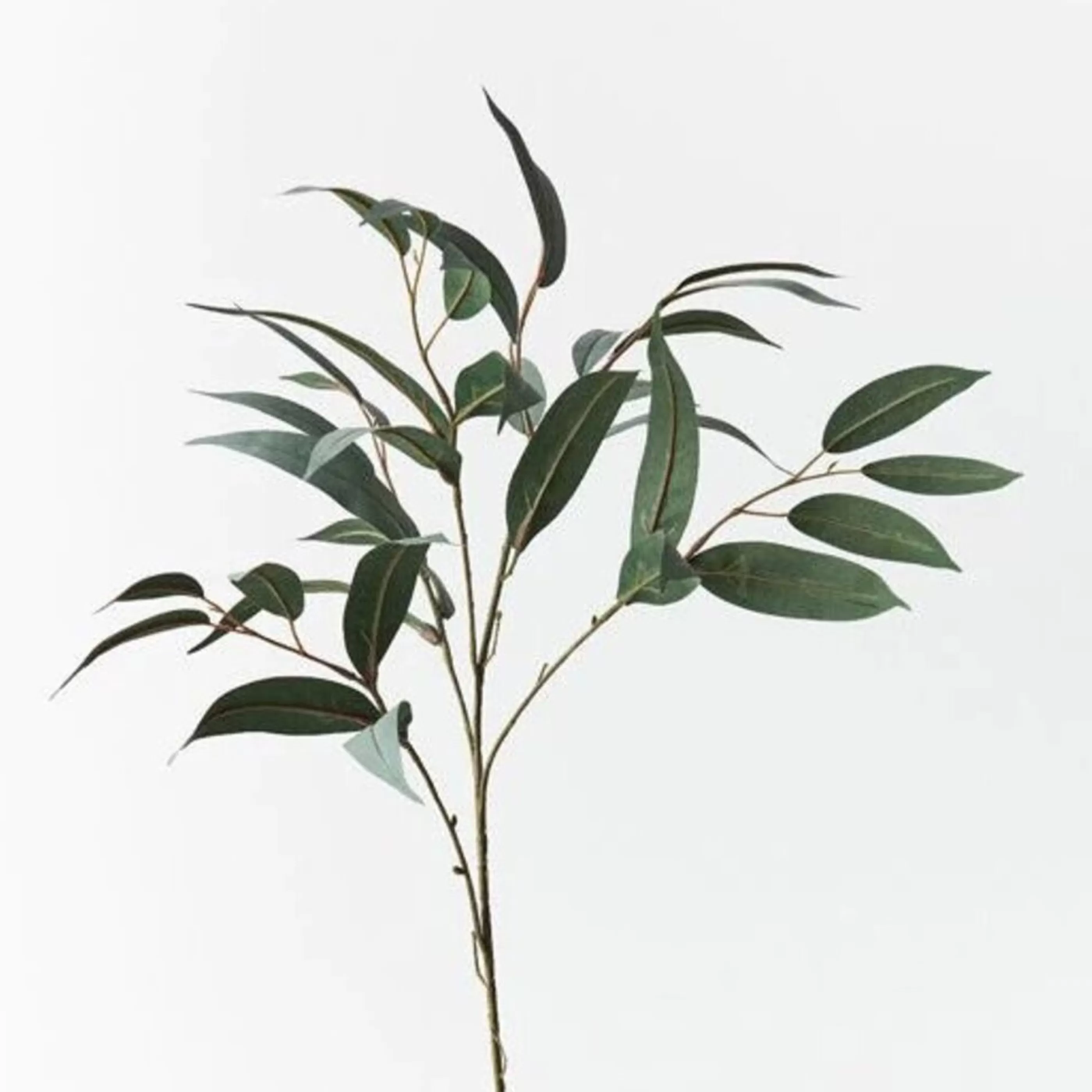 * Festive Sprays | Eucalyptus Long Leaf Spray - 78Cm