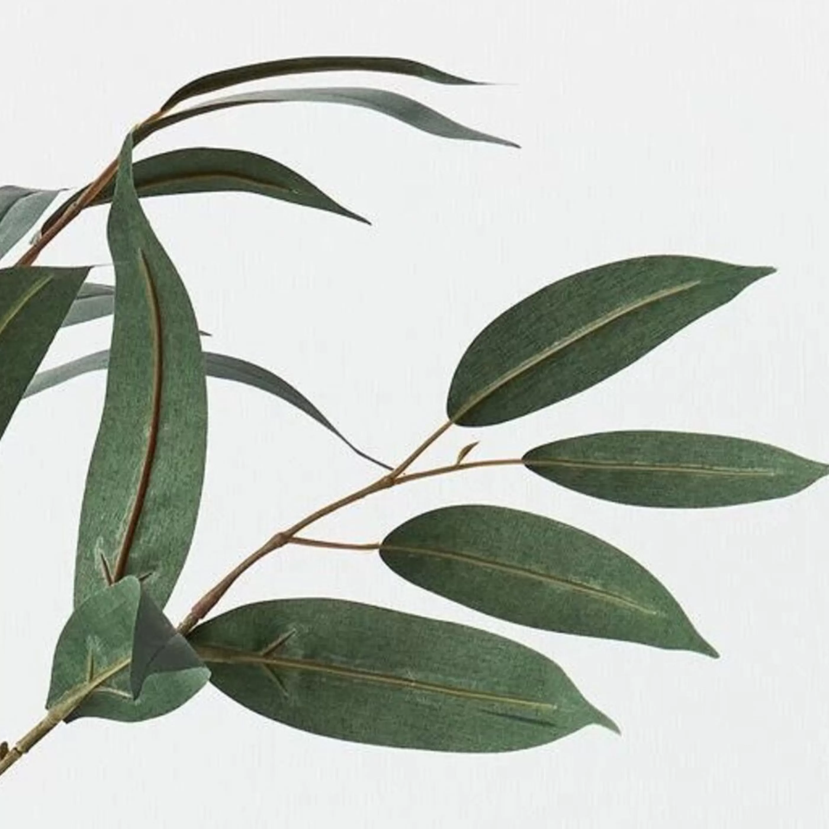 * Festive Sprays | Eucalyptus Long Leaf Spray - 78Cm