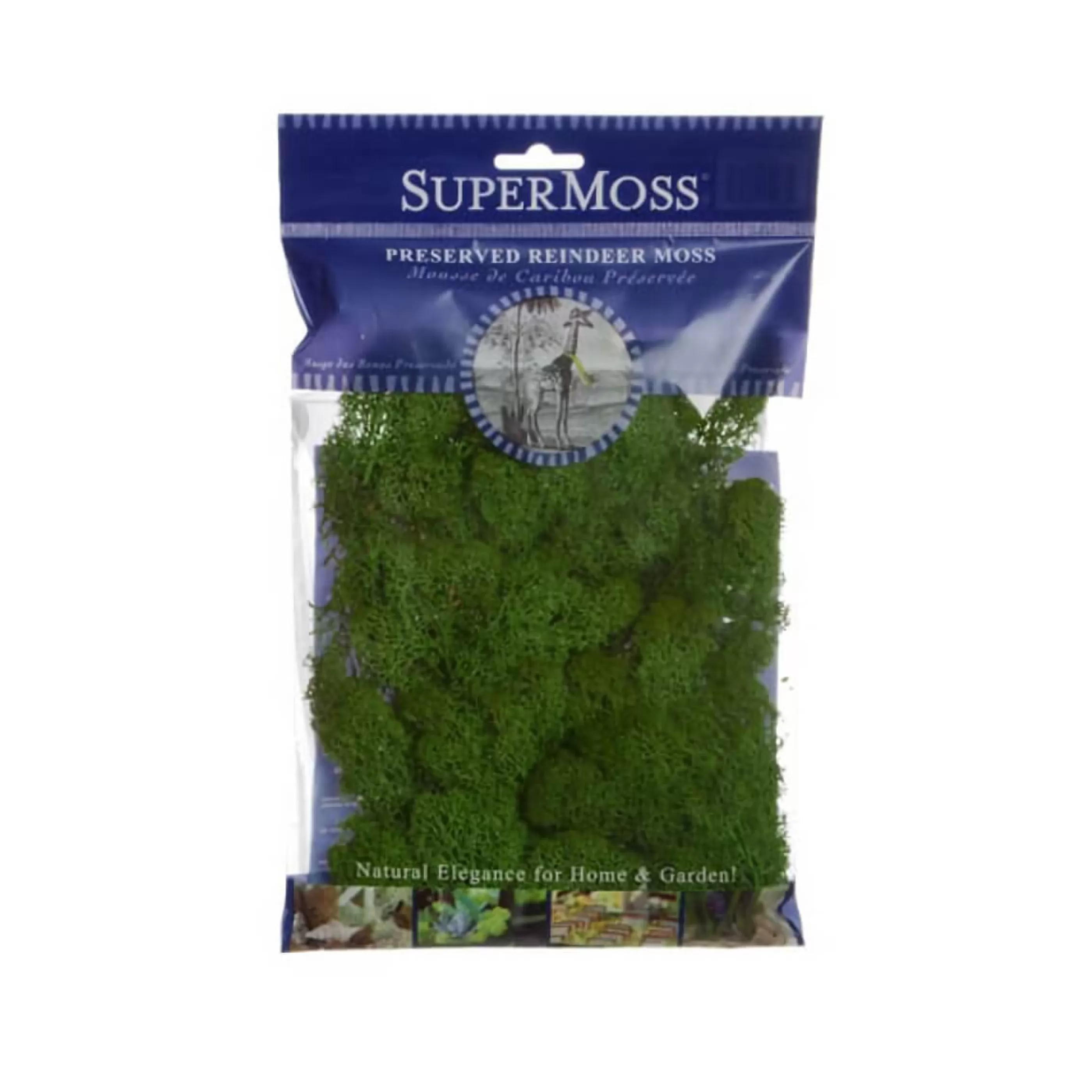 * Floristry | Forest Green Reindeer Moss Bag - 55Gm