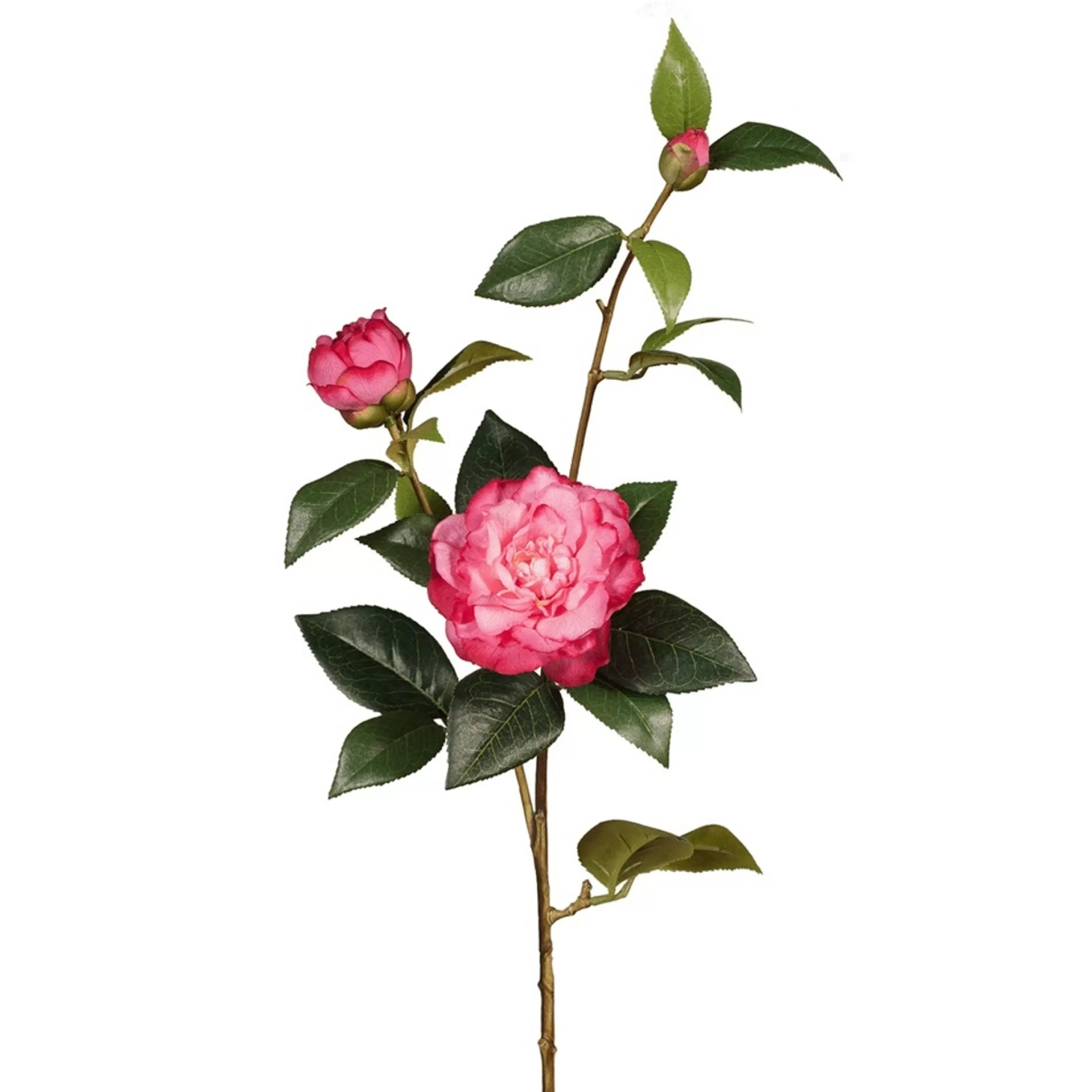 * Floristry | Fuschia Camellia Stem - 86Cm