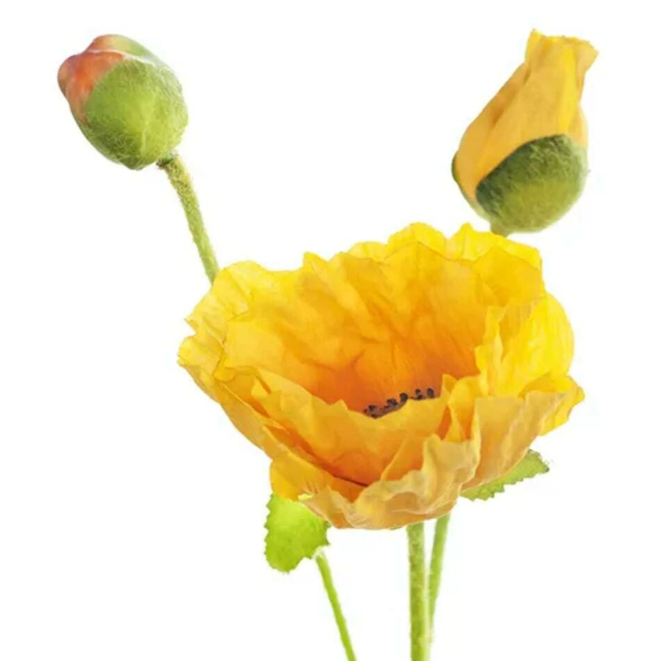 * Floristry | Gold Poppy Spray - 57Cm