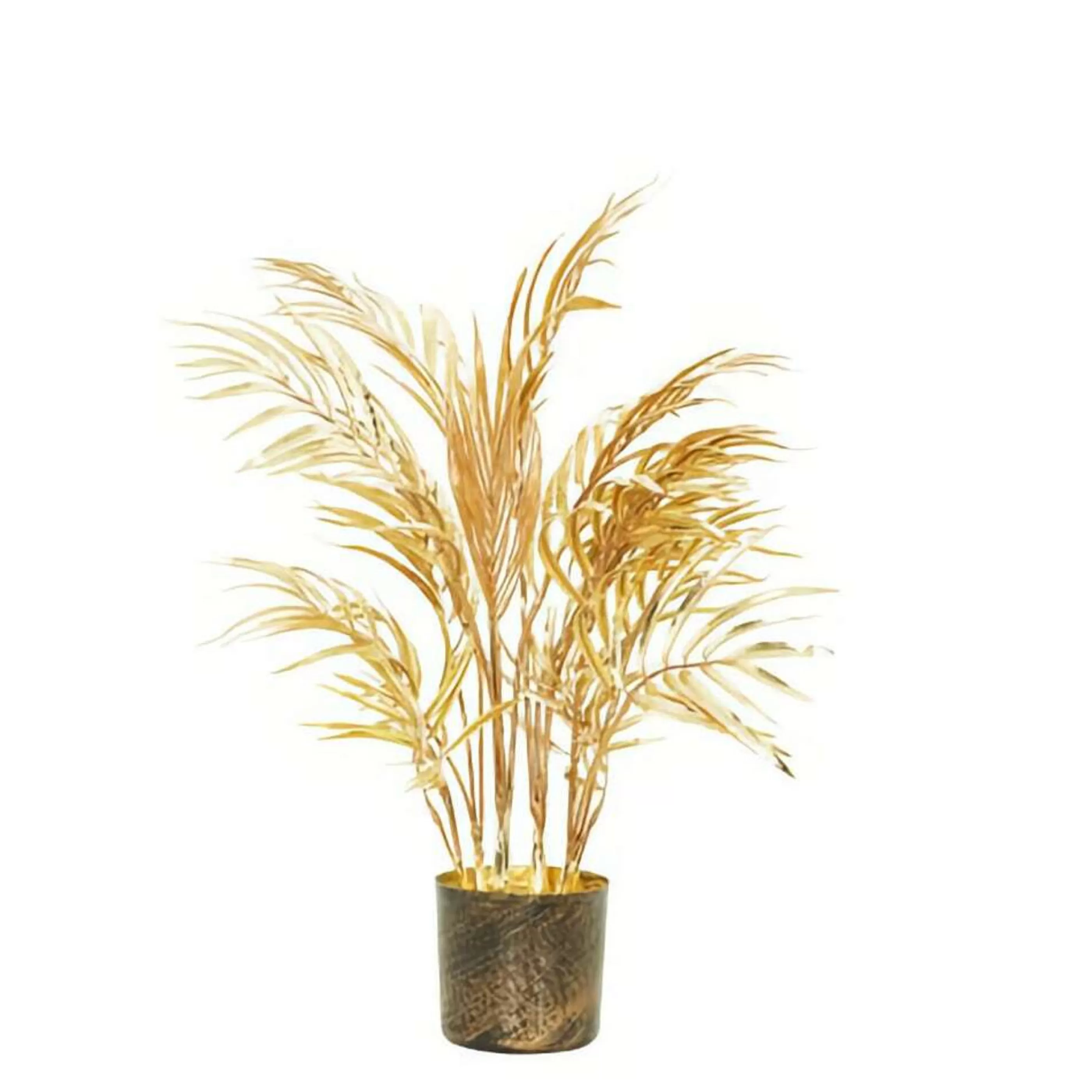 * Floristry | Gold Potted Areaca Palm Tree Small - 45Cm