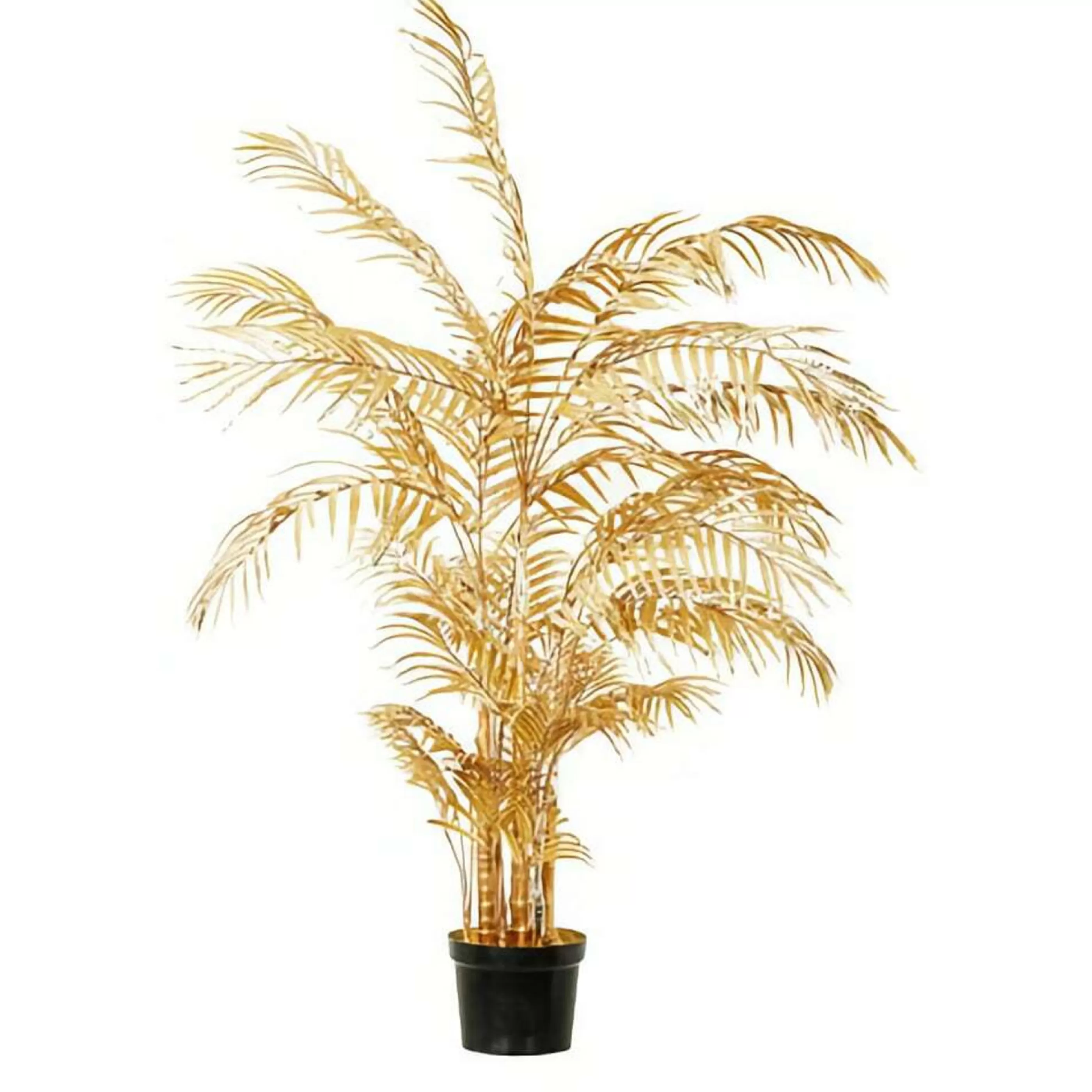 * Floristry | Gold Potted Areca Palm Tree Large -140Cm