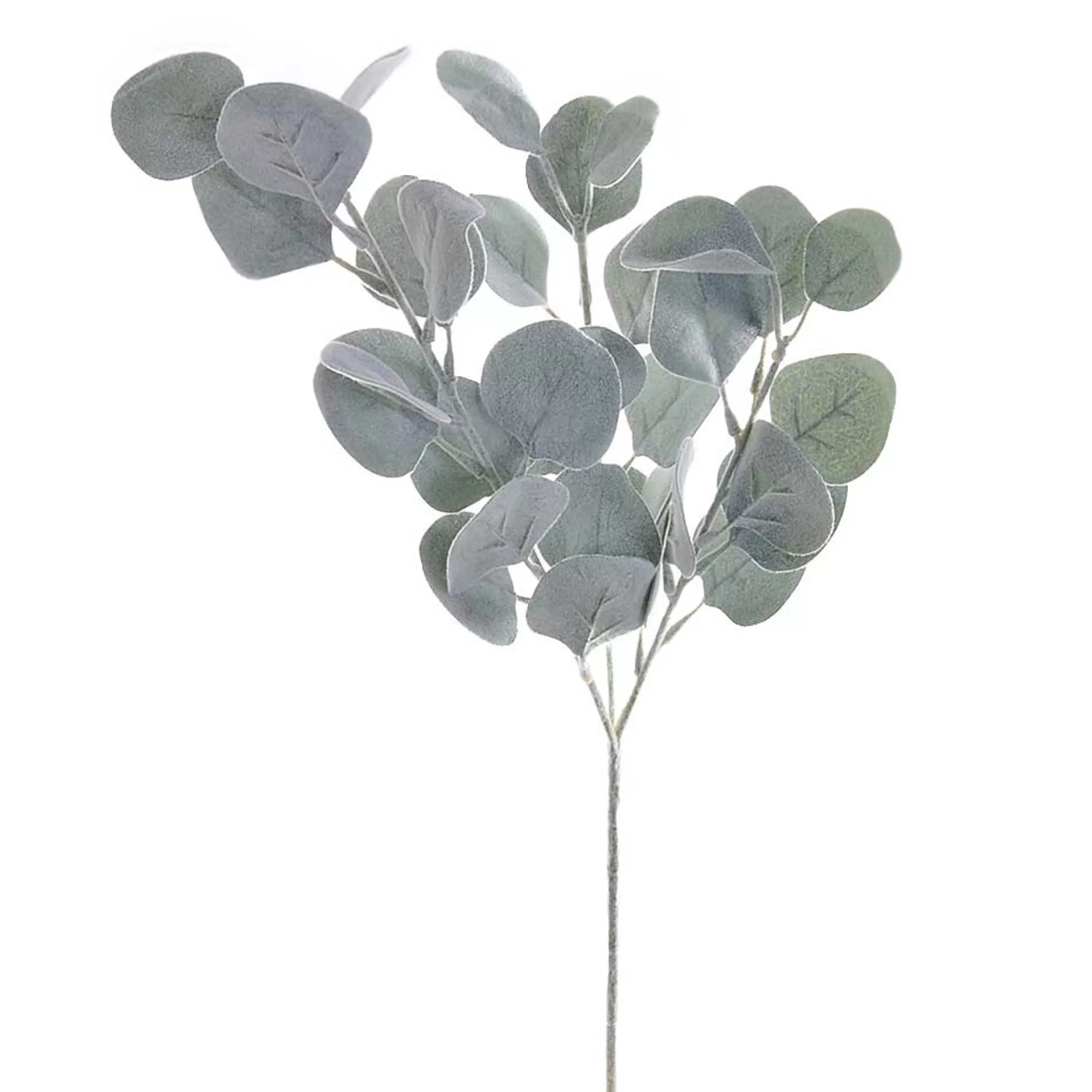 * Floristry | Green Grey Dusty Money Leaf Spray - 65Cm