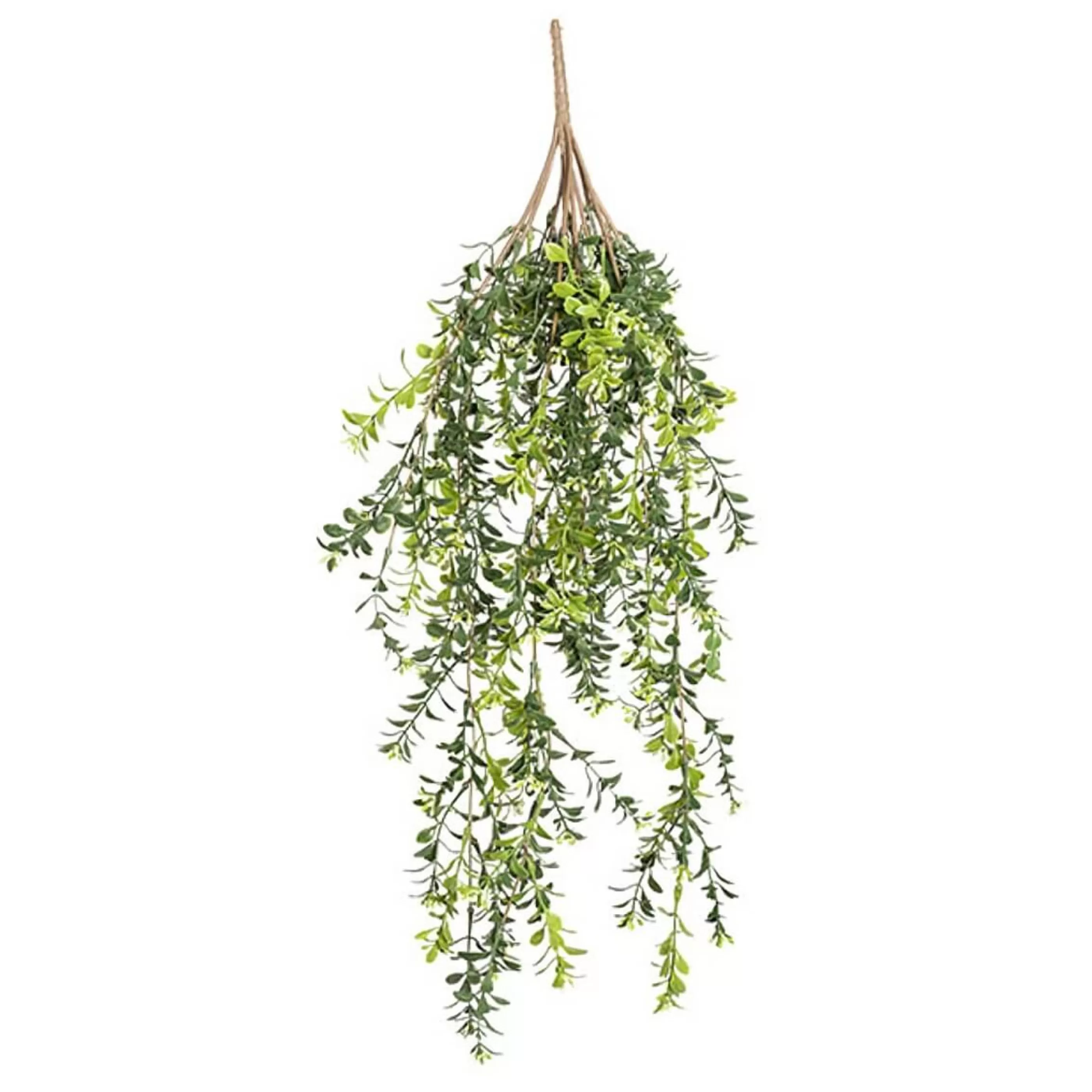 * Floristry | Green Mistletoe Hanging Bush - 62Cm