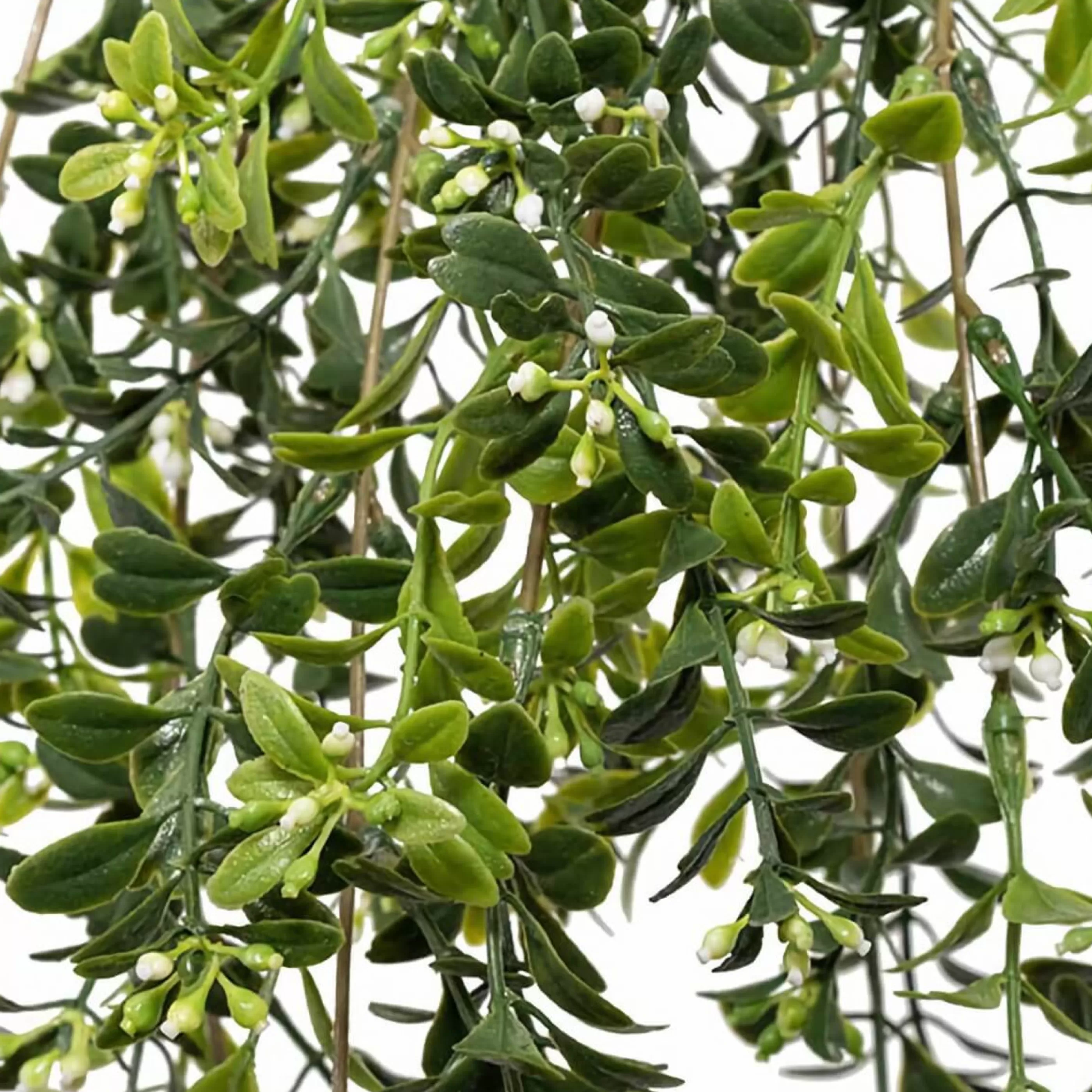 * Floristry | Green Mistletoe Hanging Bush - 62Cm