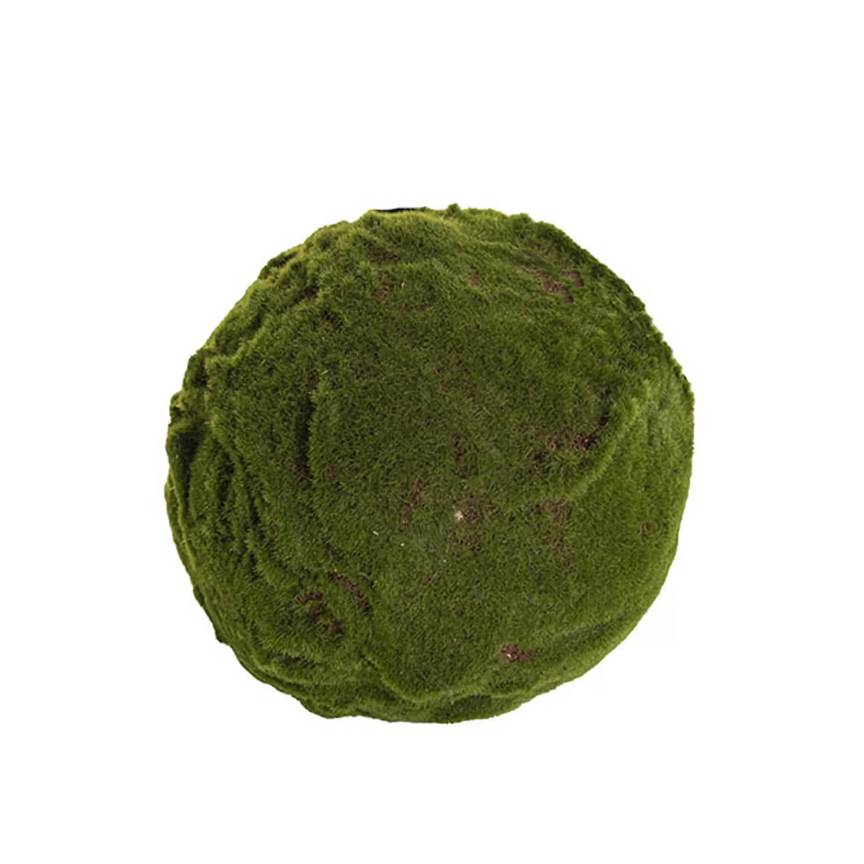 * Floristry | Green Moss Ball - 25Cm