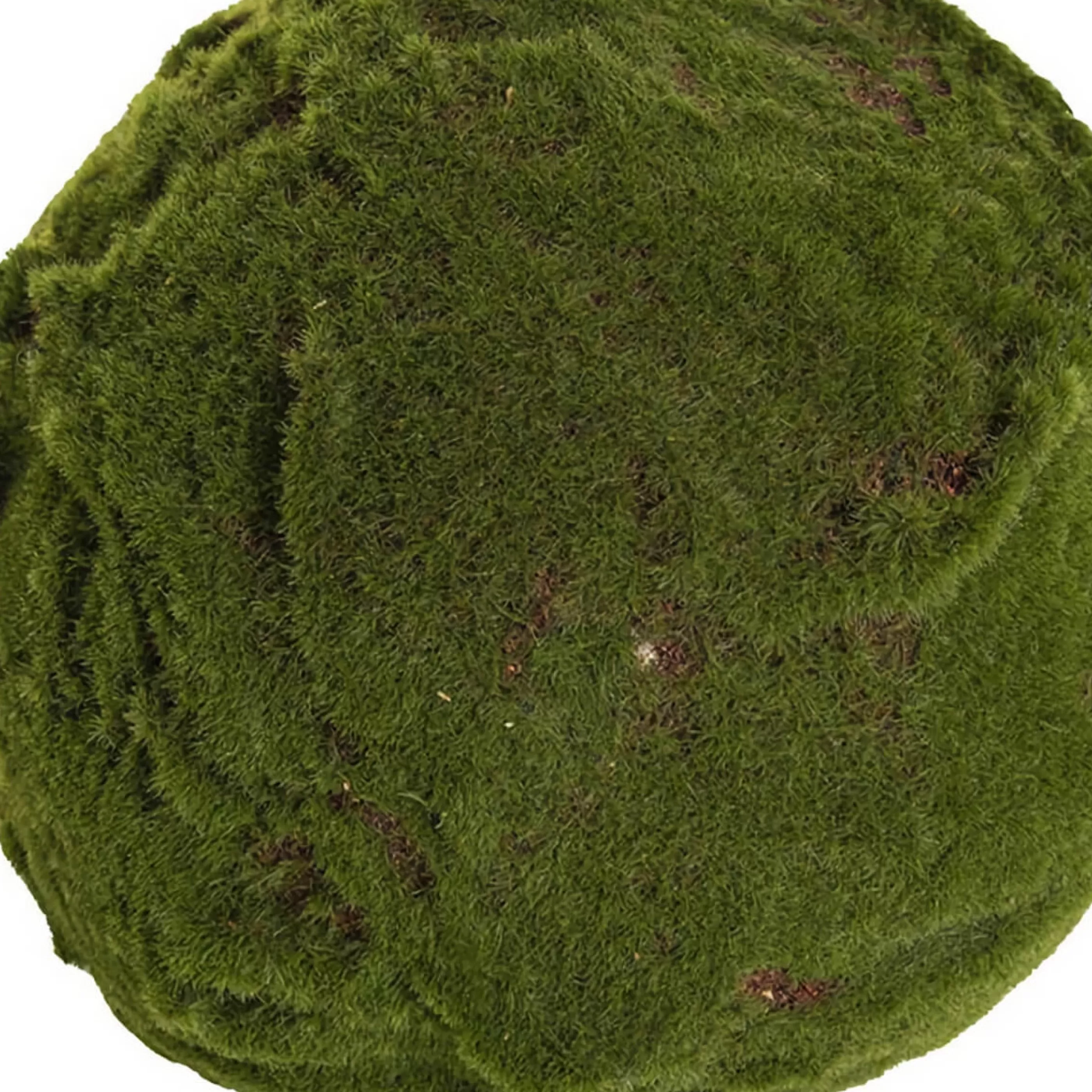 * Floristry | Green Moss Ball - 25Cm