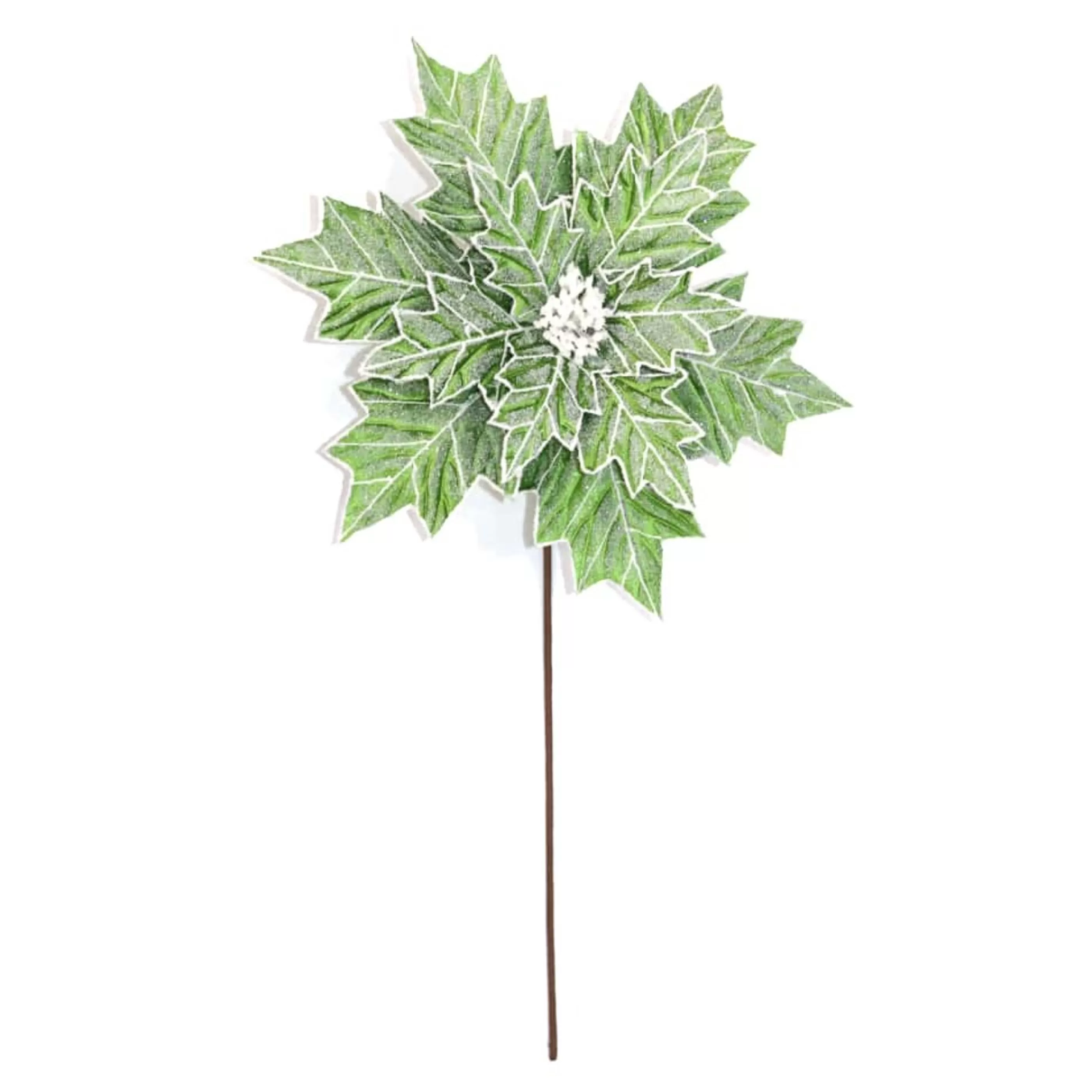 * Poinsettia Decorations | Green Poinsettia With White Edge - 40Cm