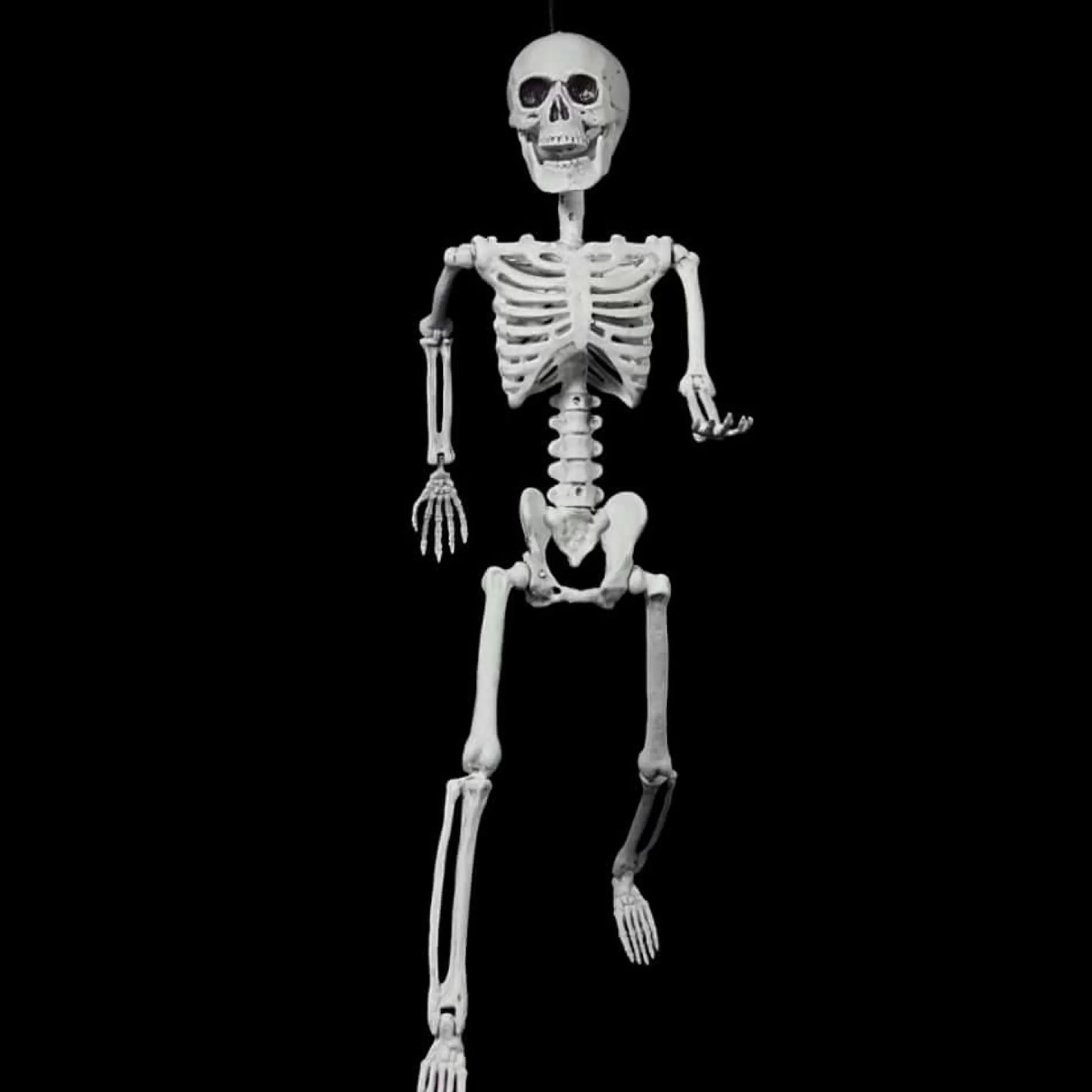 Clearance Witches of Halloween Halloween Skeleton Posable - 60Cm