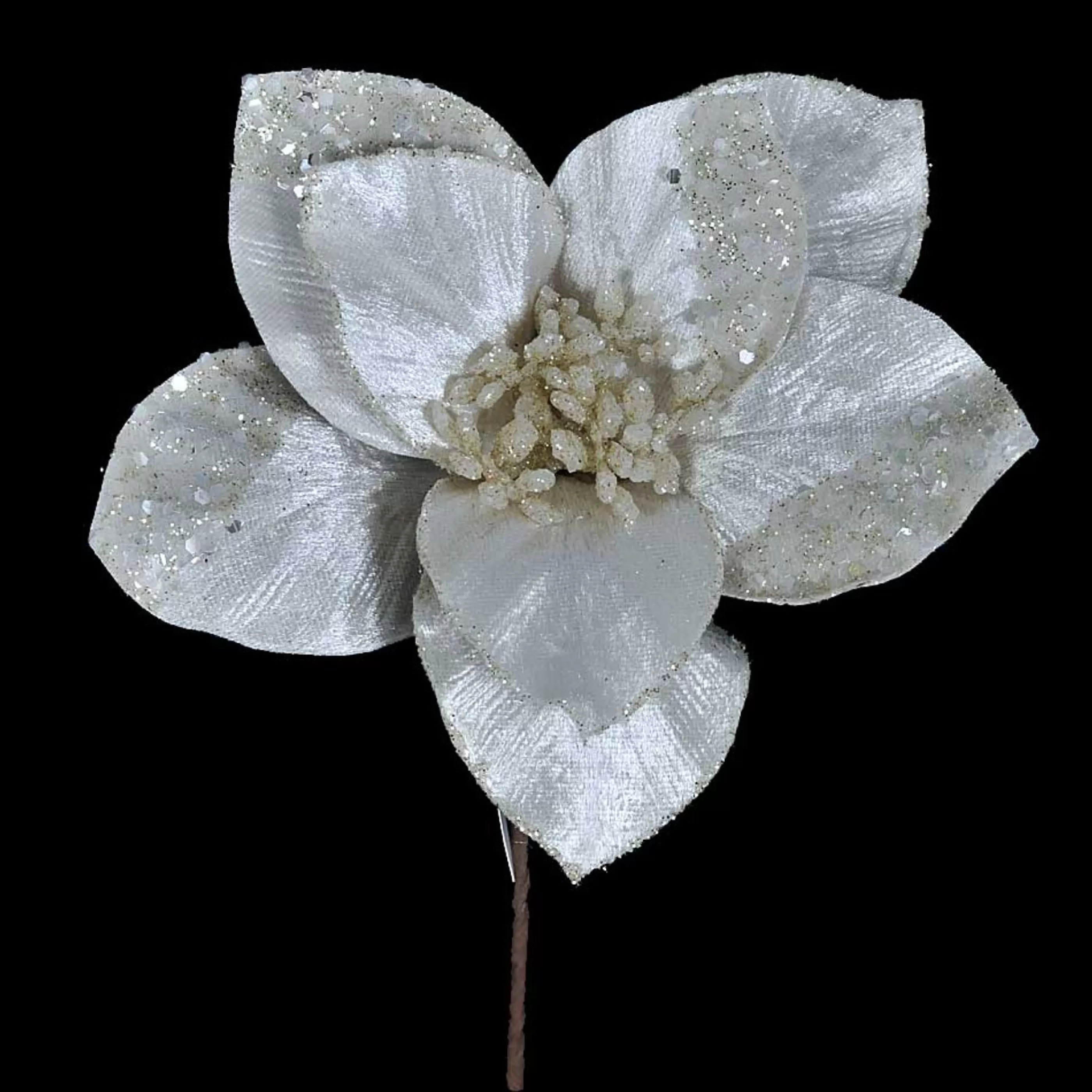 * Floristry | Ivory Poinsettia On Clip - 18Cm