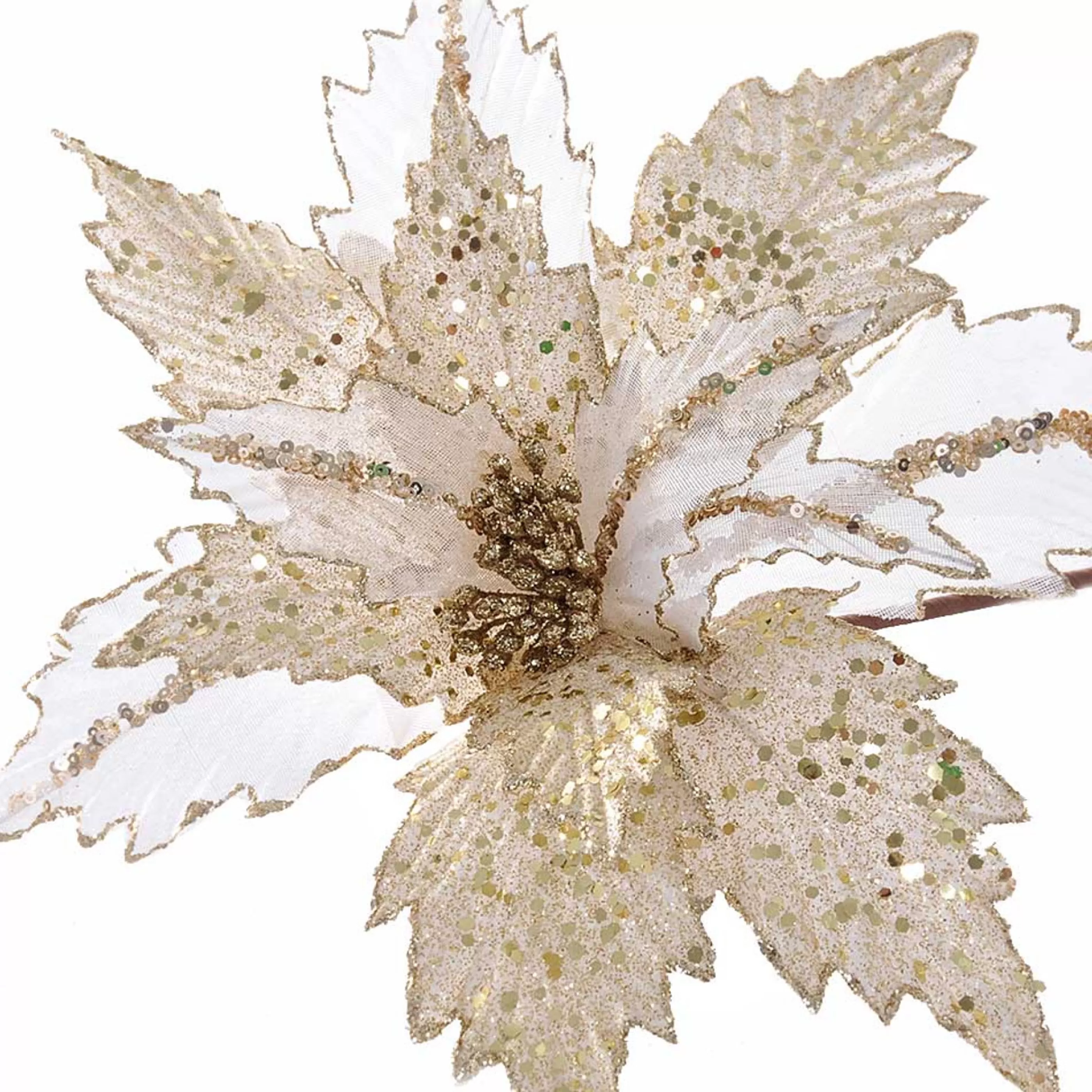 * Floristry | Ivory Poinsettia With Gold Glitter - 36Cm