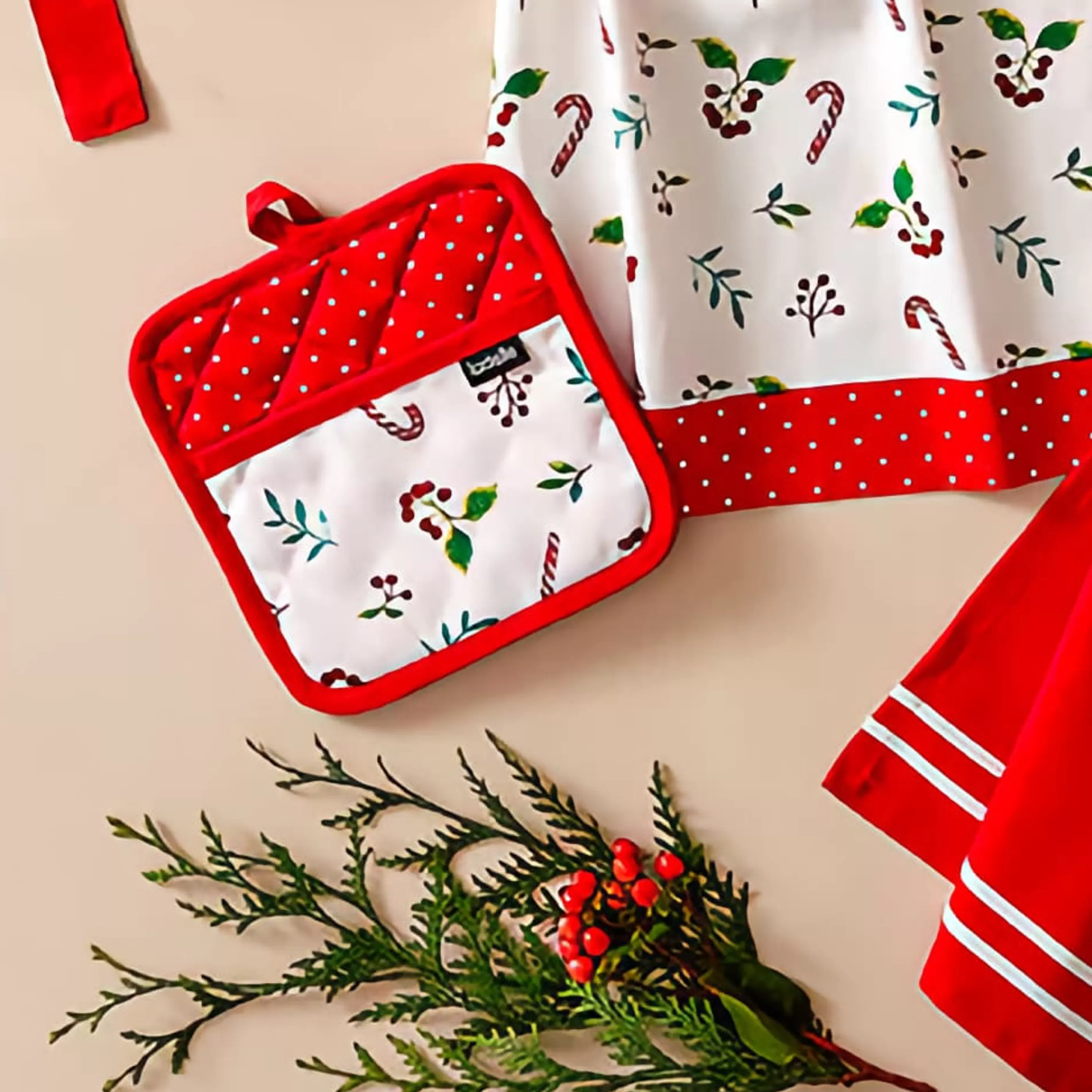 Fashion Ladelle Ashdene Joyful Christmas Pot Holder Set