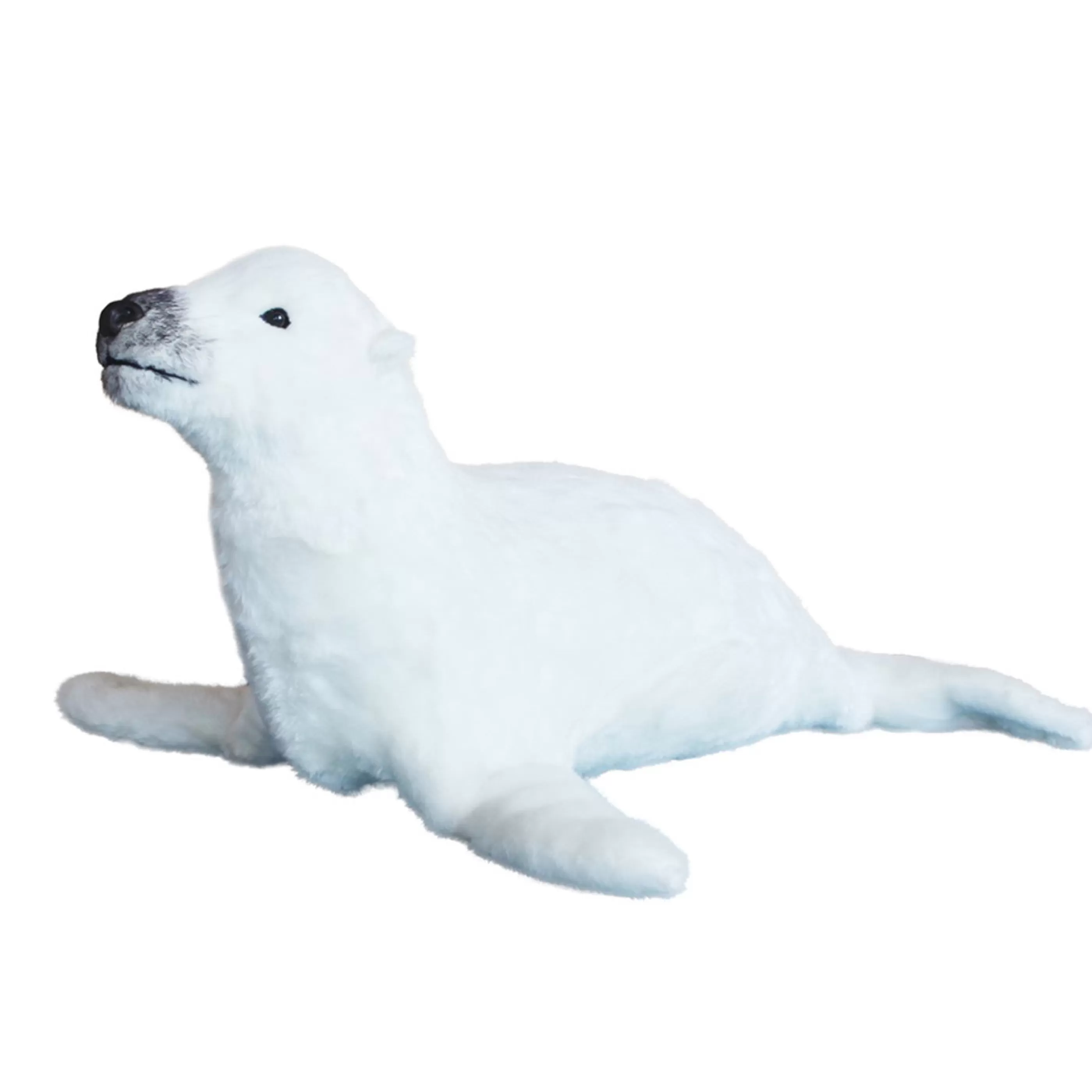 Cheap * Lifelike Sea Lion "Vickys Mamma" - 50Cm