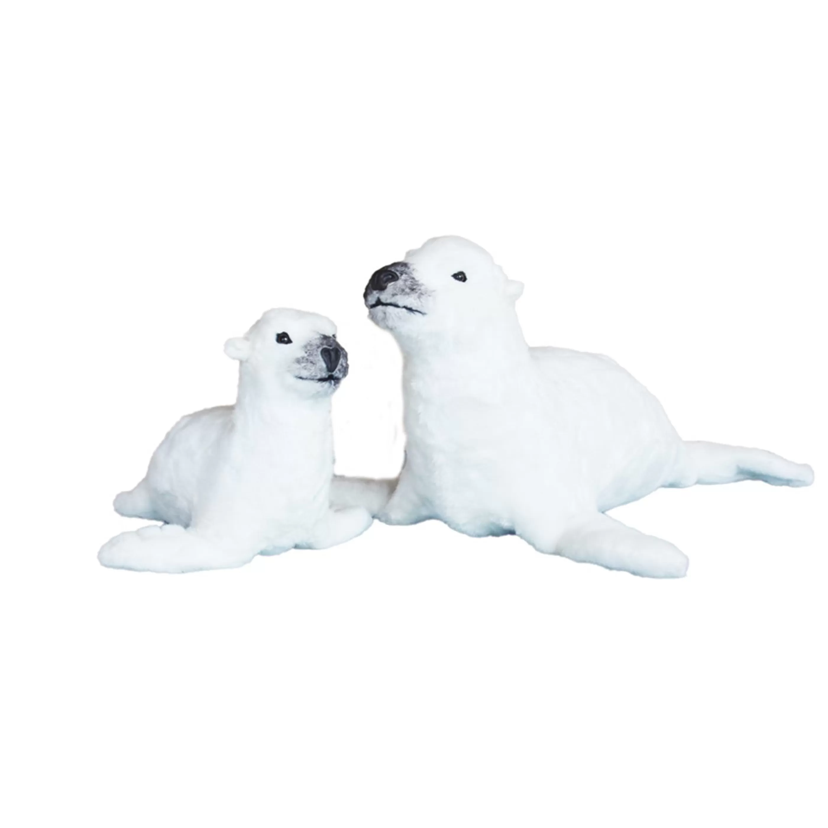 Cheap * Lifelike Sea Lion "Vickys Mamma" - 50Cm