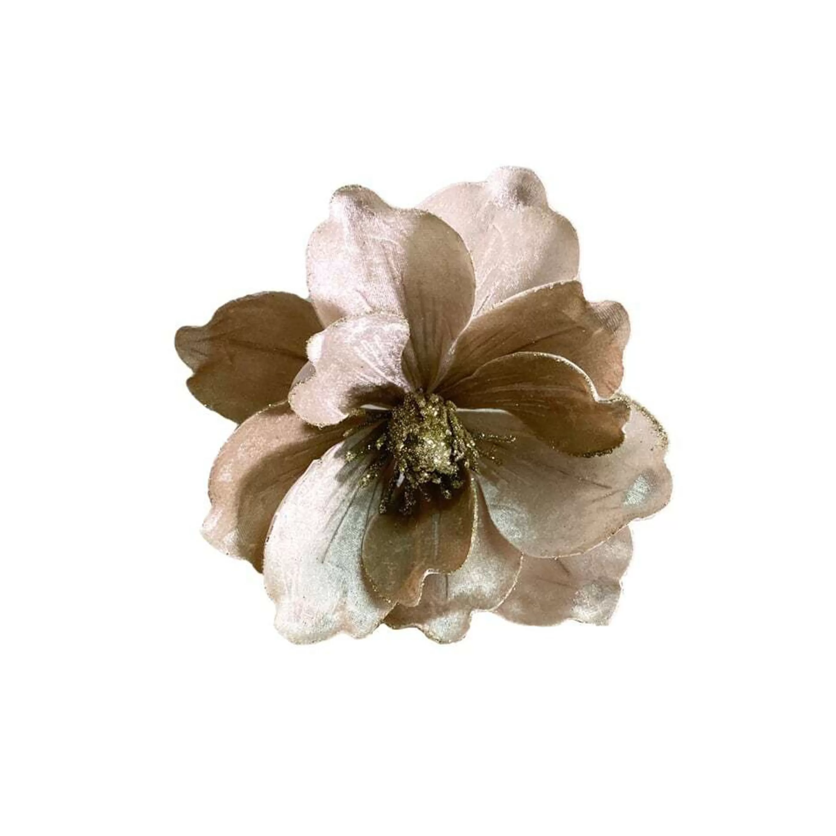 * Floristry | Magnolia Champagne With Clip - 21Cm