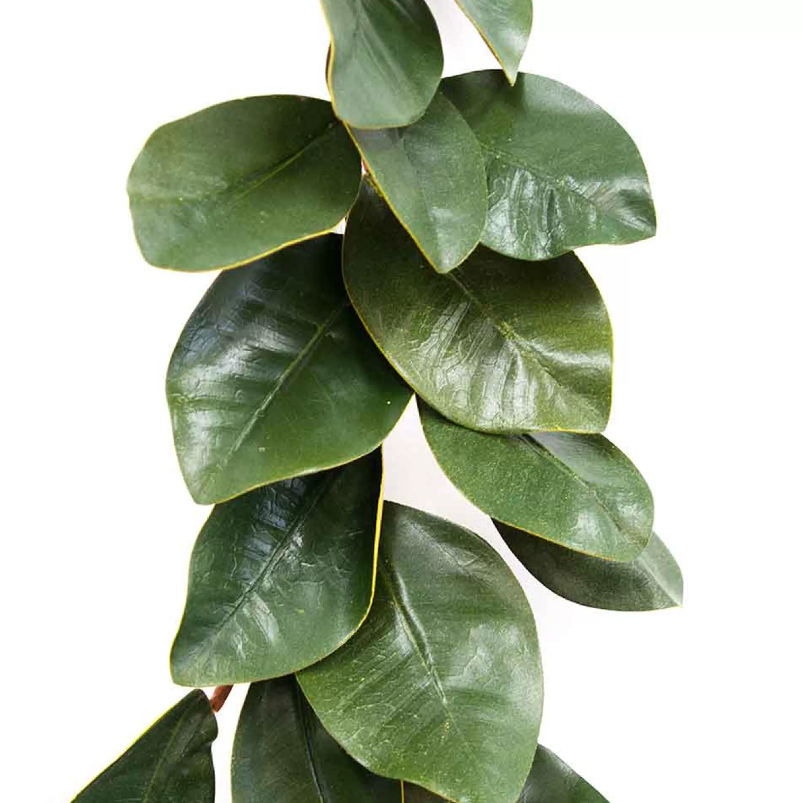 * Garlands | Magnolia Leaf Garland - 5Ft