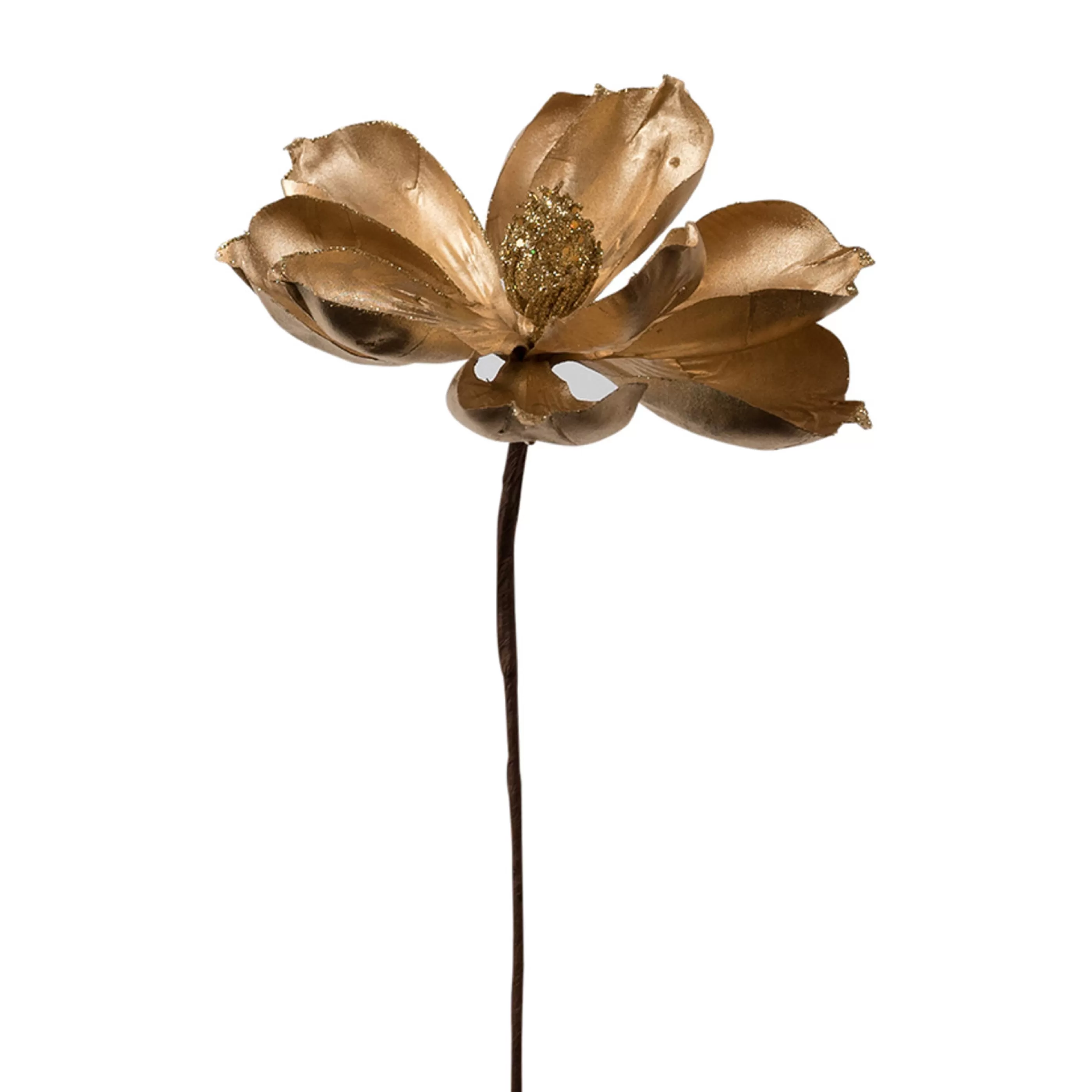 * Floristry | Magnolia Stem Gold - 50Cm