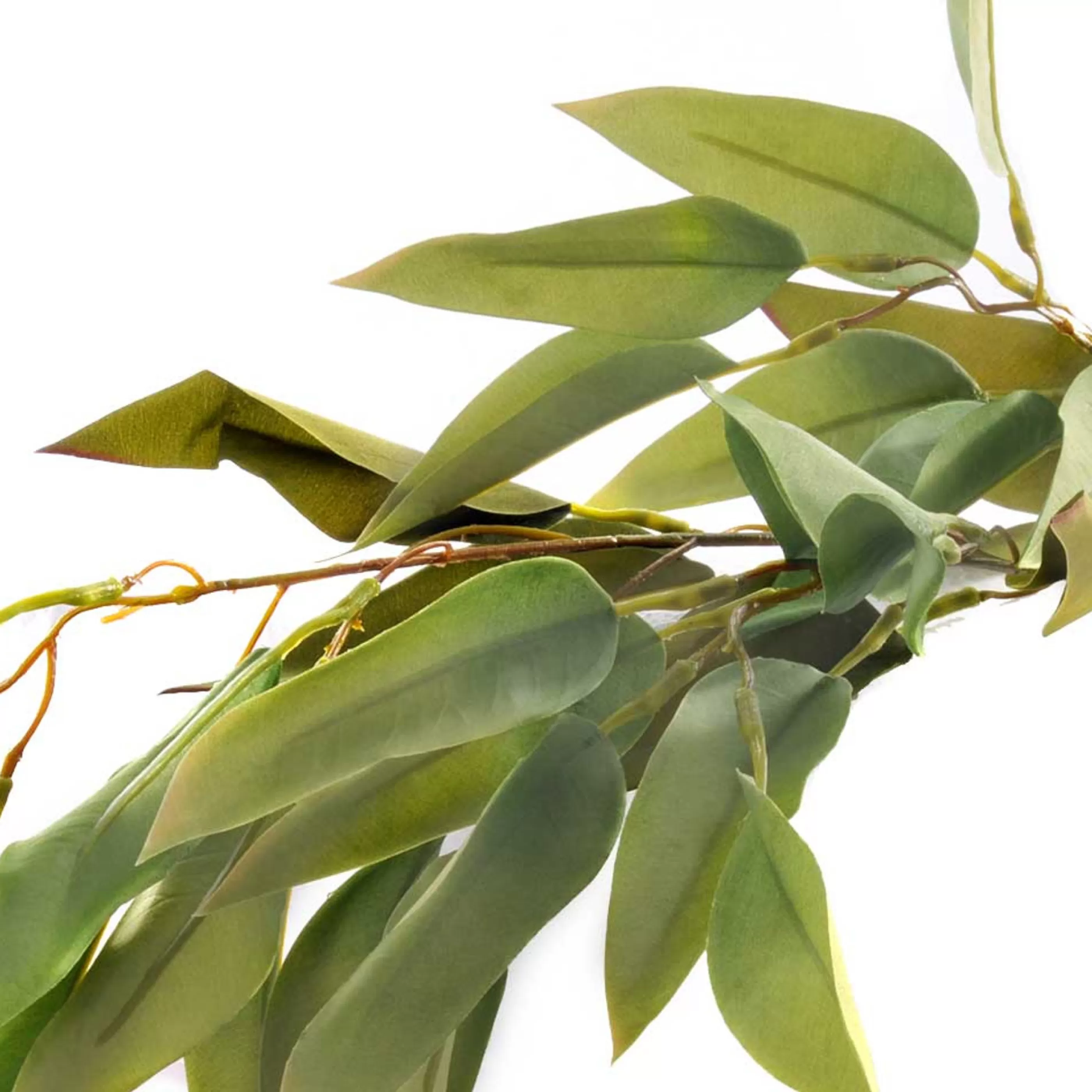 * Australian Decorations | Native Green Eucalyptus Spray - 86Cm