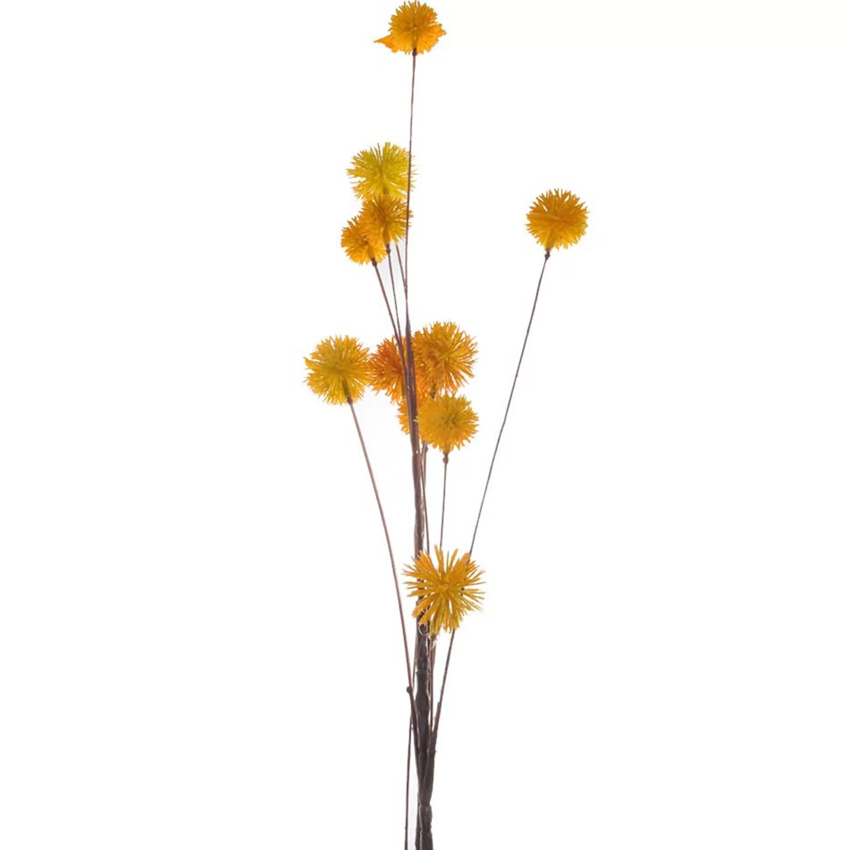 * Festive Sprays | Native Yellow Craspedia Spray - 90Cm