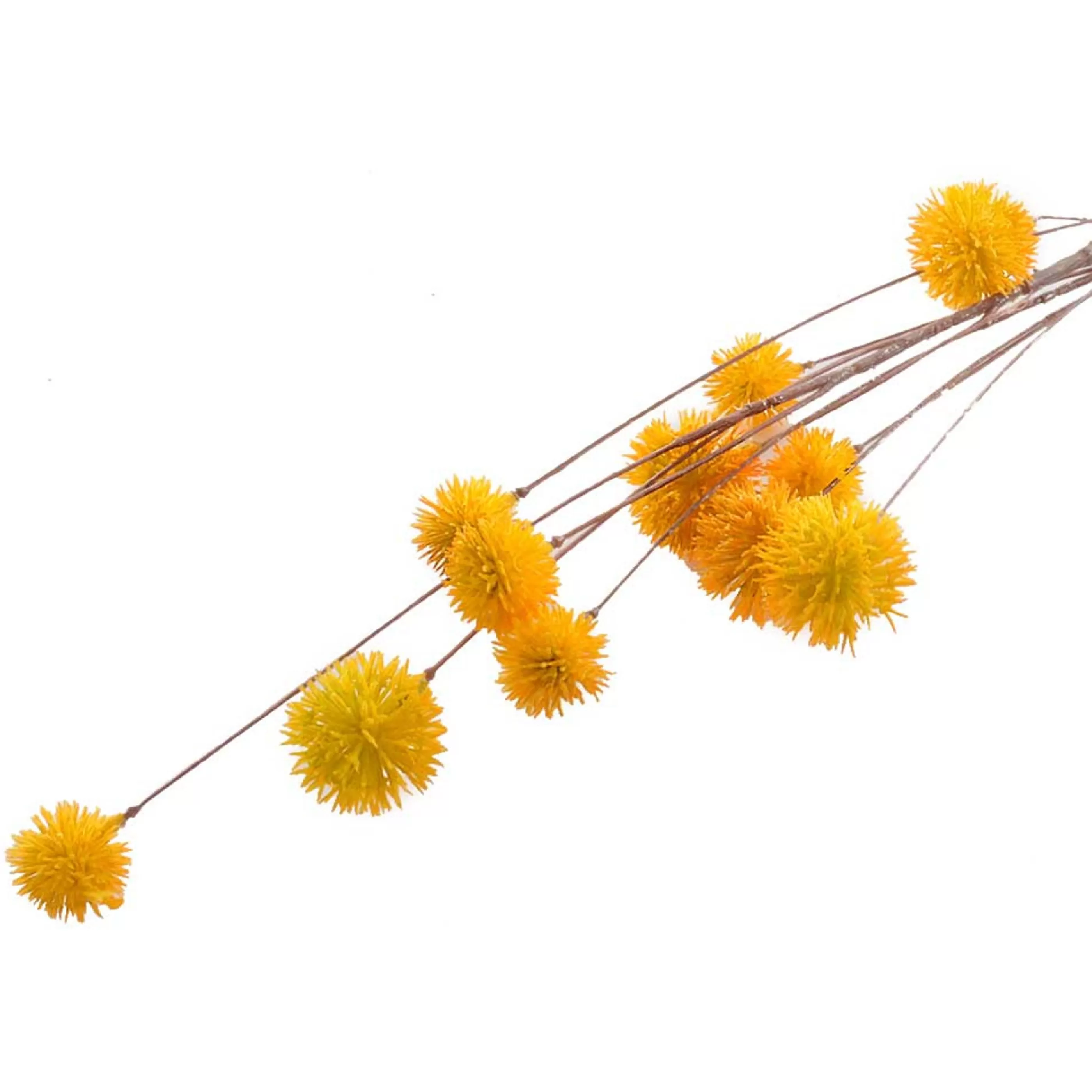 * Festive Sprays | Native Yellow Craspedia Spray - 90Cm