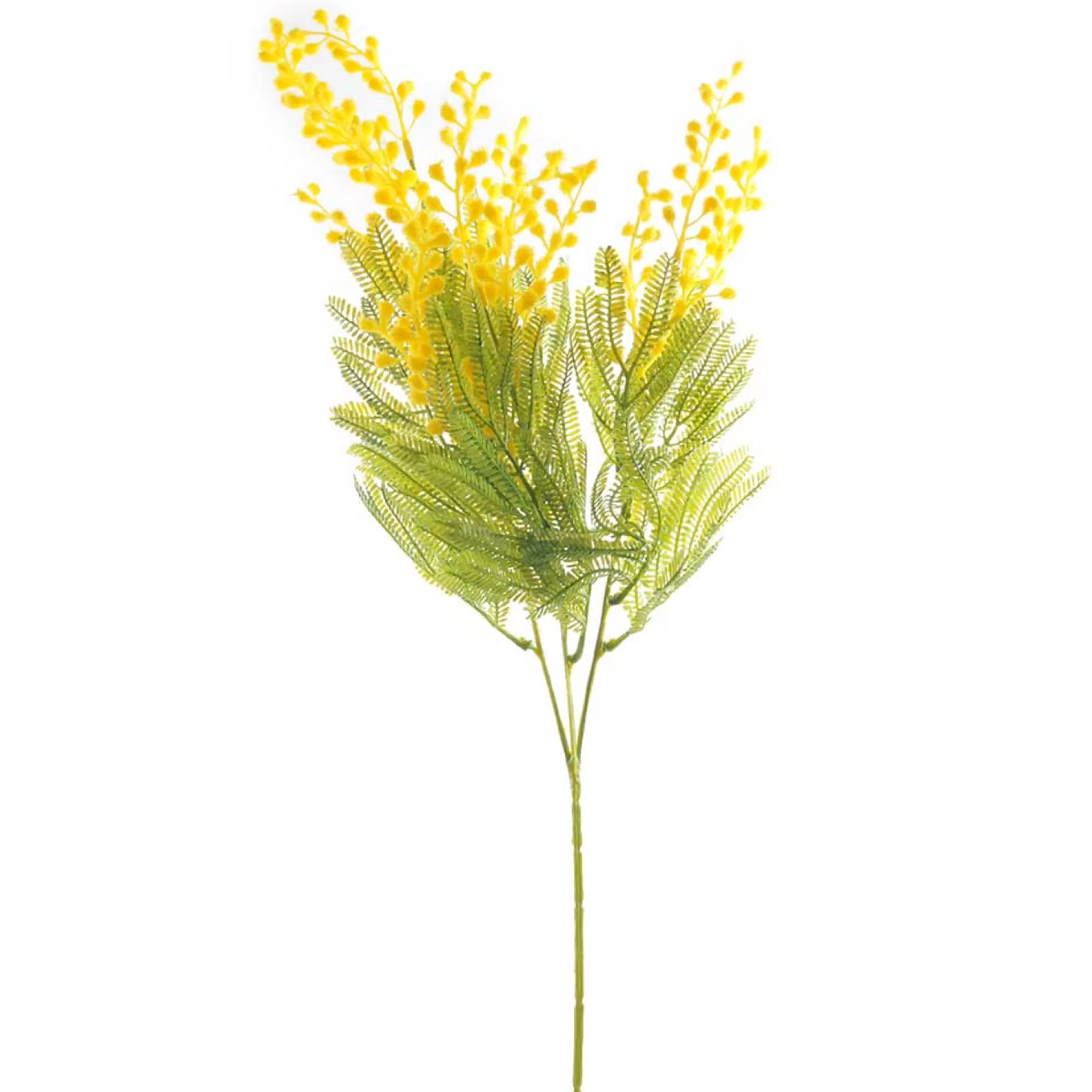 * Australian Decorations | Native Yellow Green Mimosa Spray - 70Cm