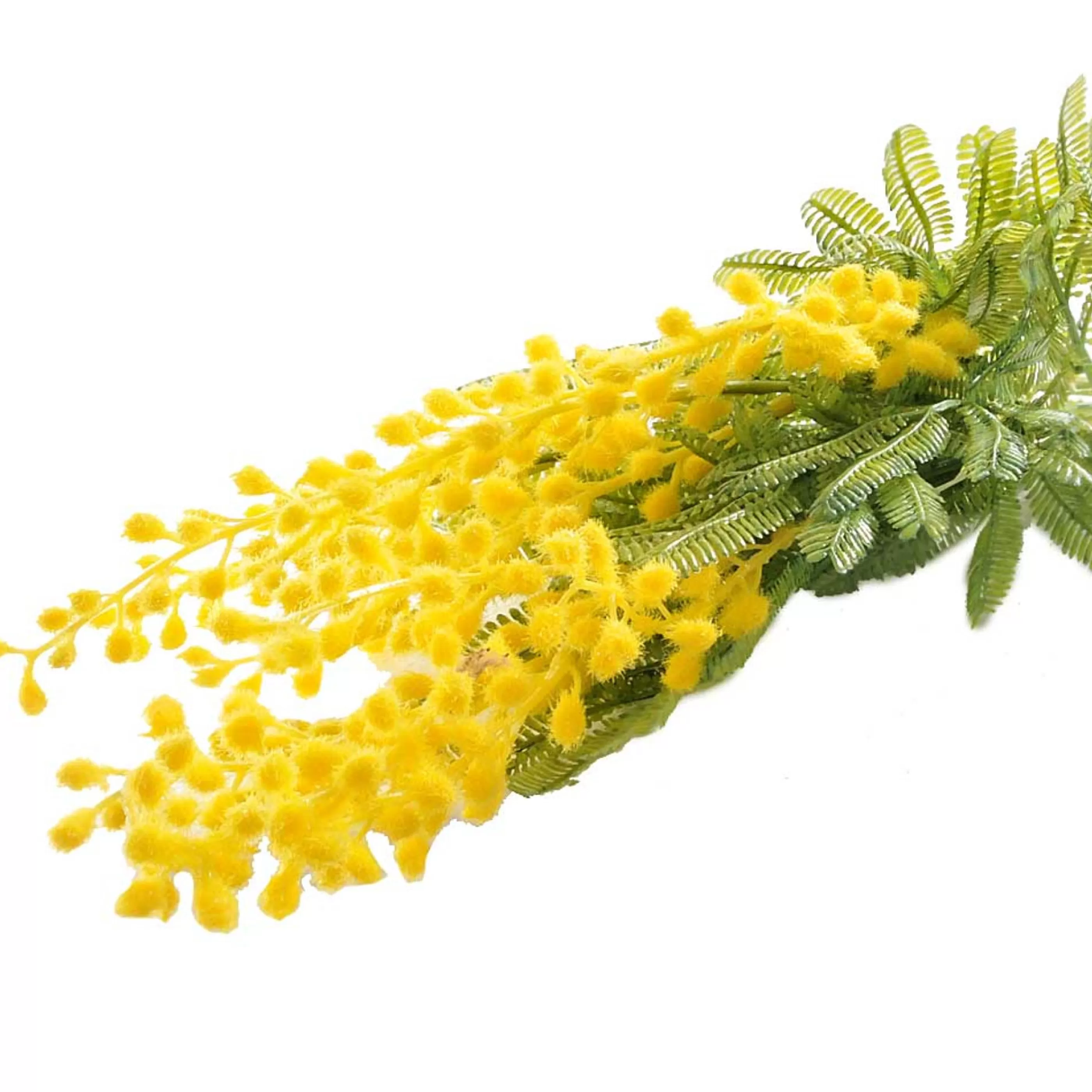 * Australian Decorations | Native Yellow Green Mimosa Spray - 70Cm