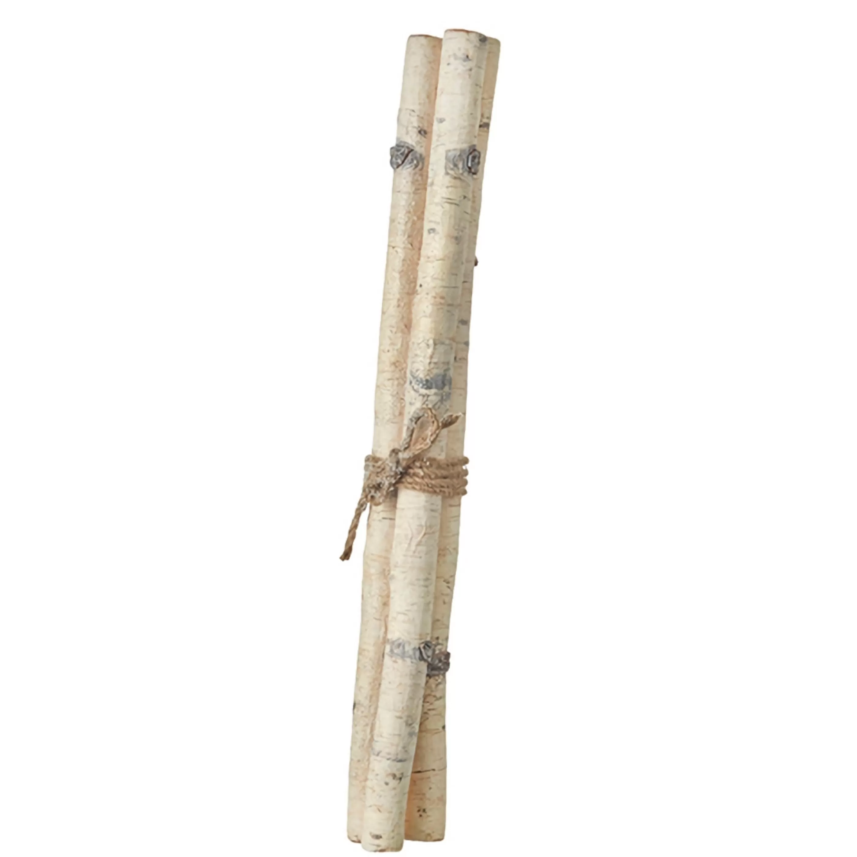 RAZ Imports Table Top Decorations | Natures Birch Stick Bundle (Set Of 3) - 66Cm