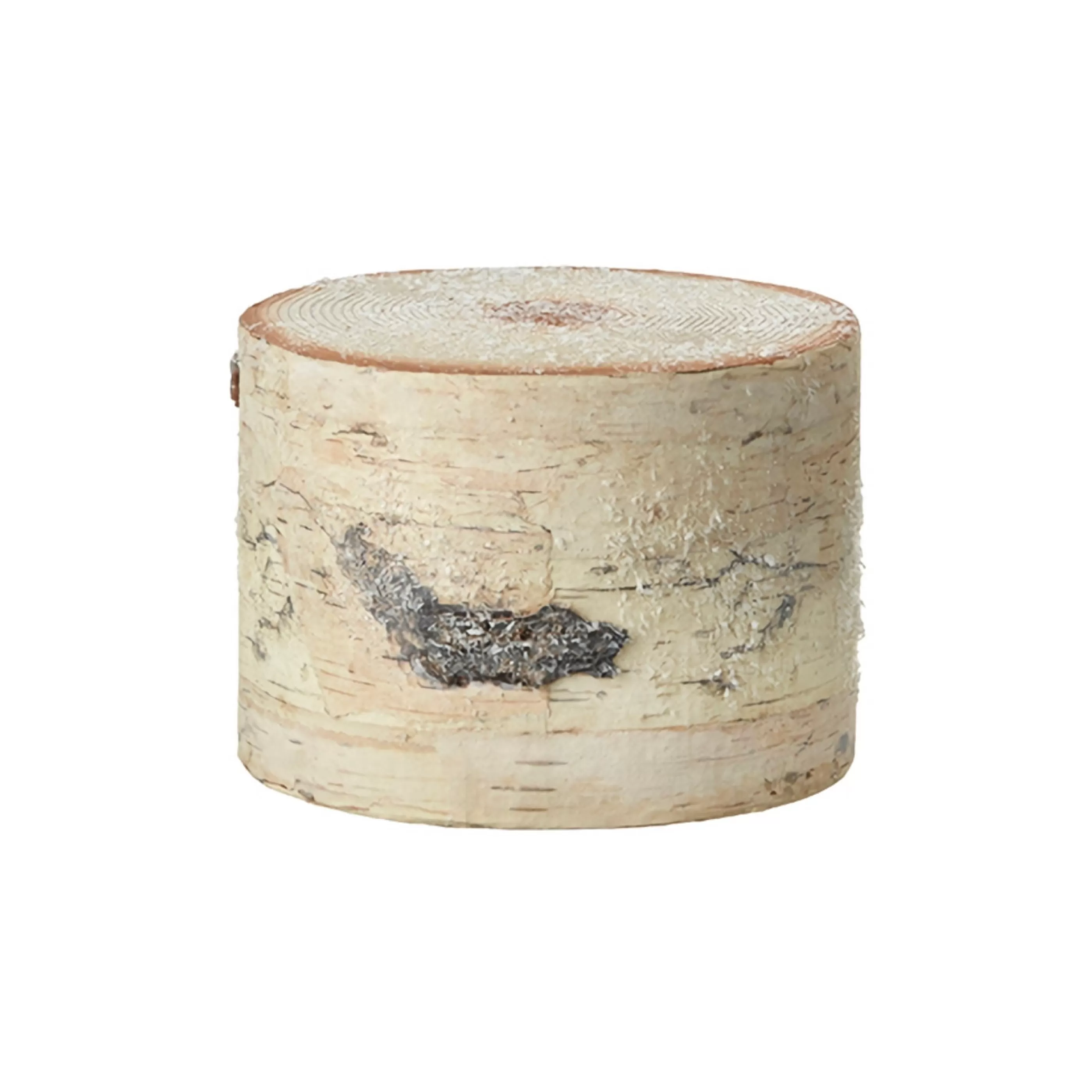 RAZ Imports Table Top Decorations | Natures Glittered Birch Stand - 14Cm