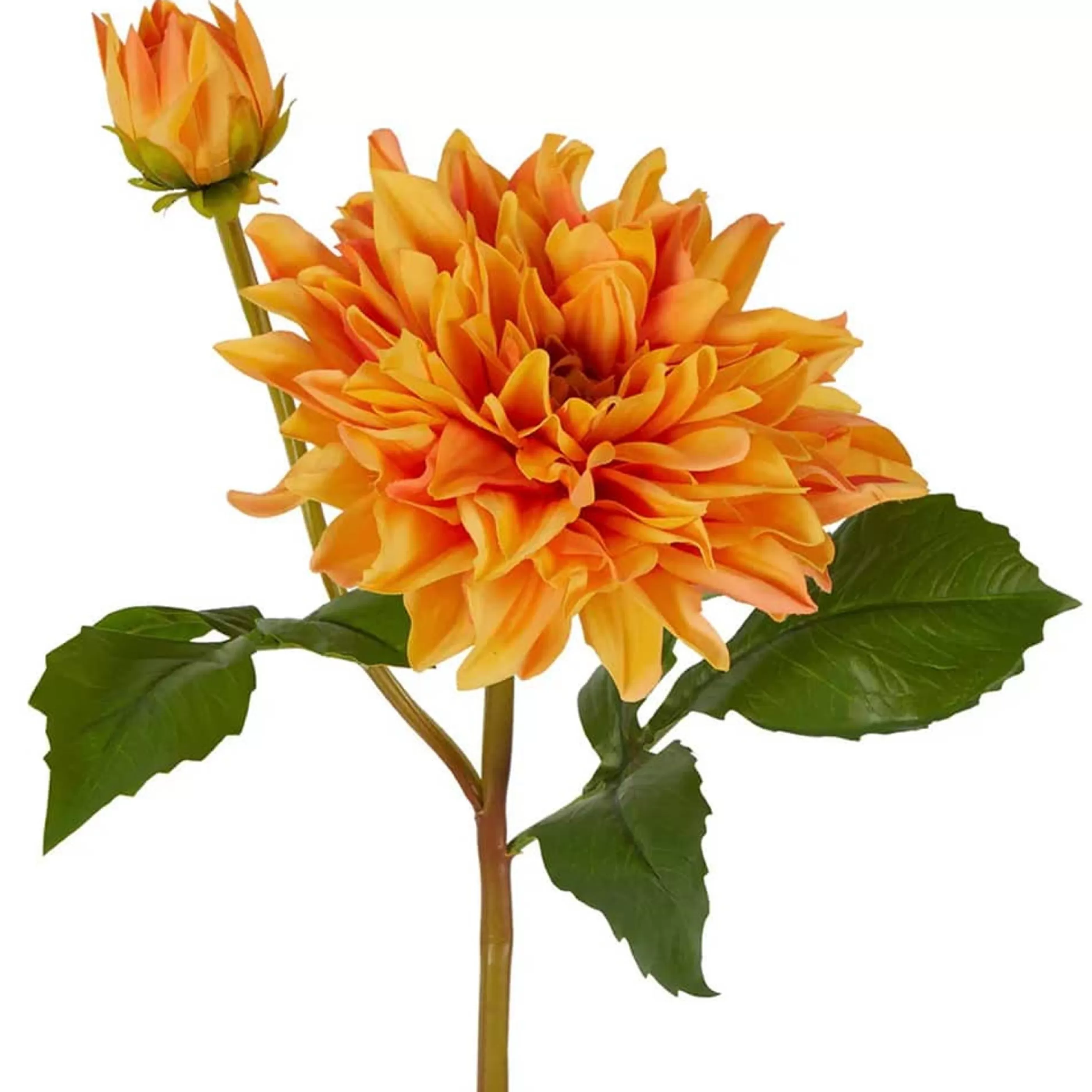 * Floristry | Orange Dahlia Flower Stem - 74Cm