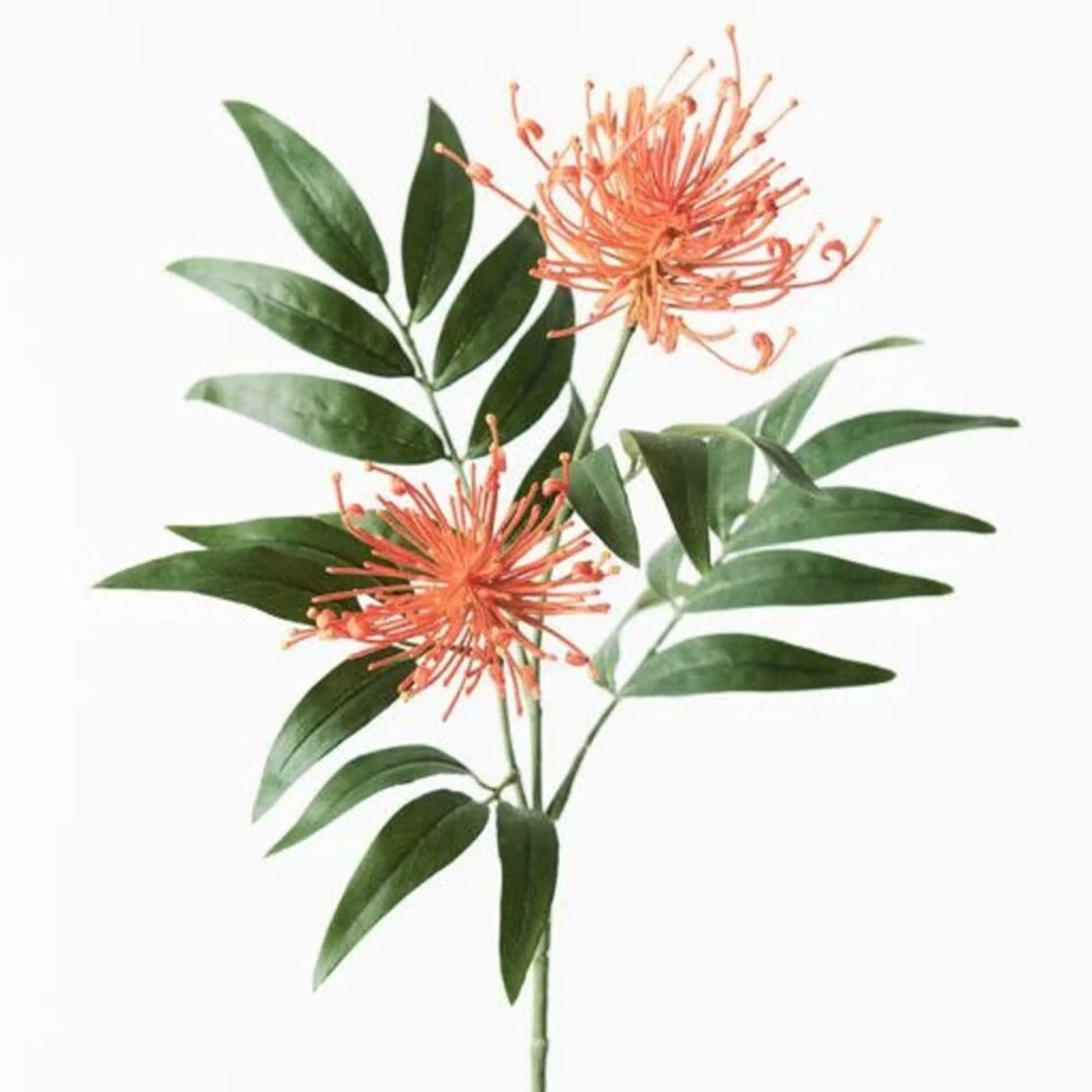 * Festive Sprays | Orange Grevillea Spray - 74Cm