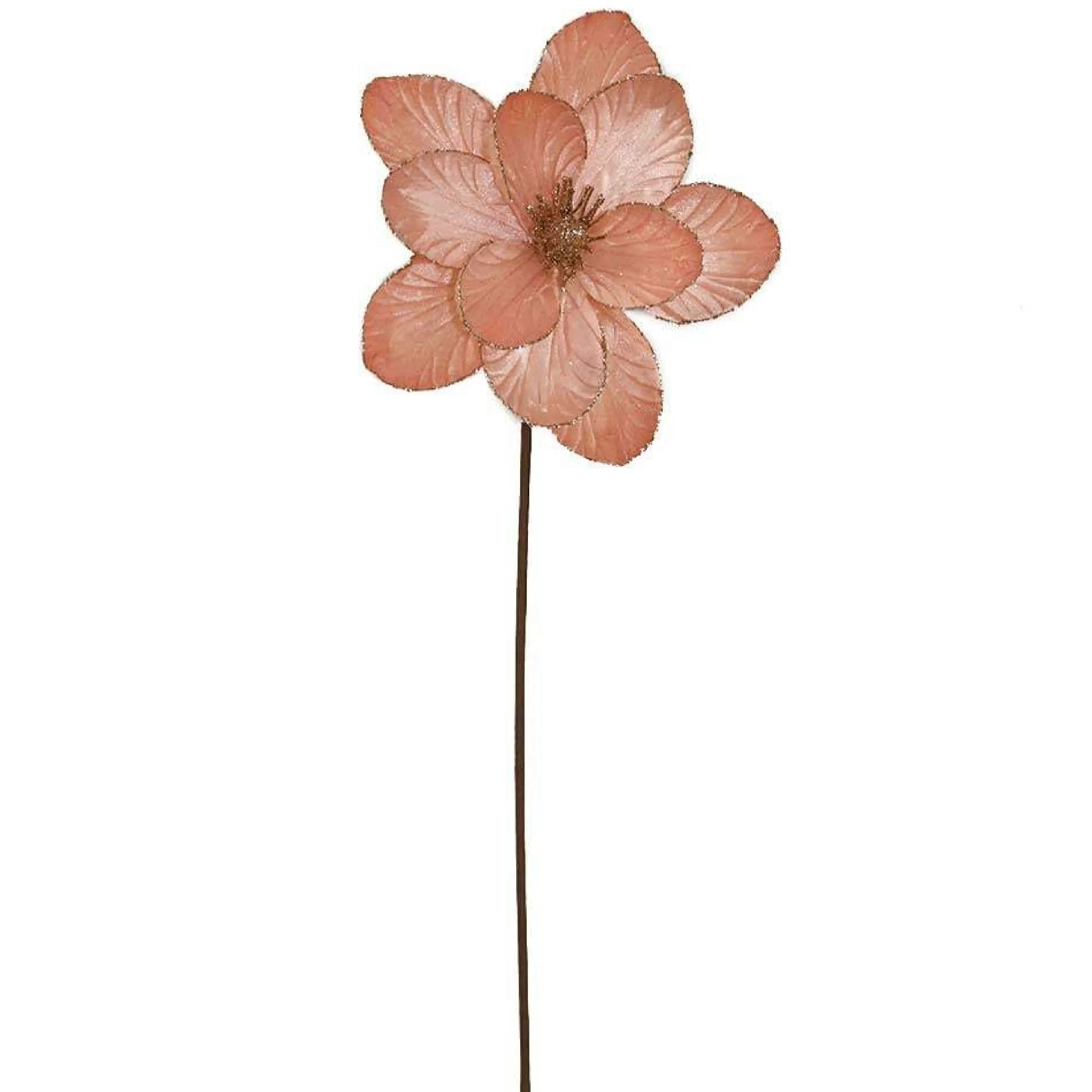 * Floristry | Peach Magnolia With Stem - 25Cm