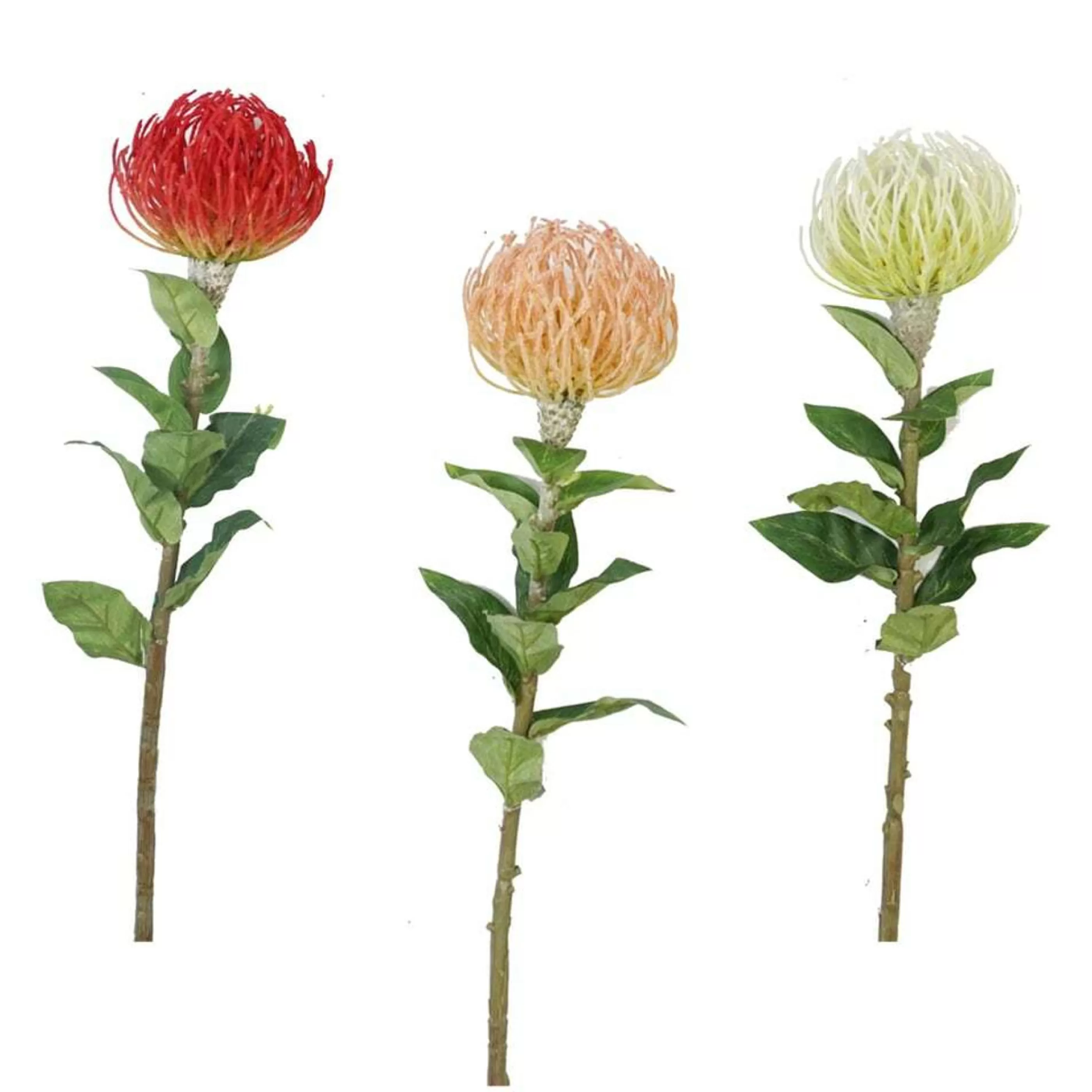 * Australian Decorations | Pincushion Flower And Stem (2 Colours) - 75Cm