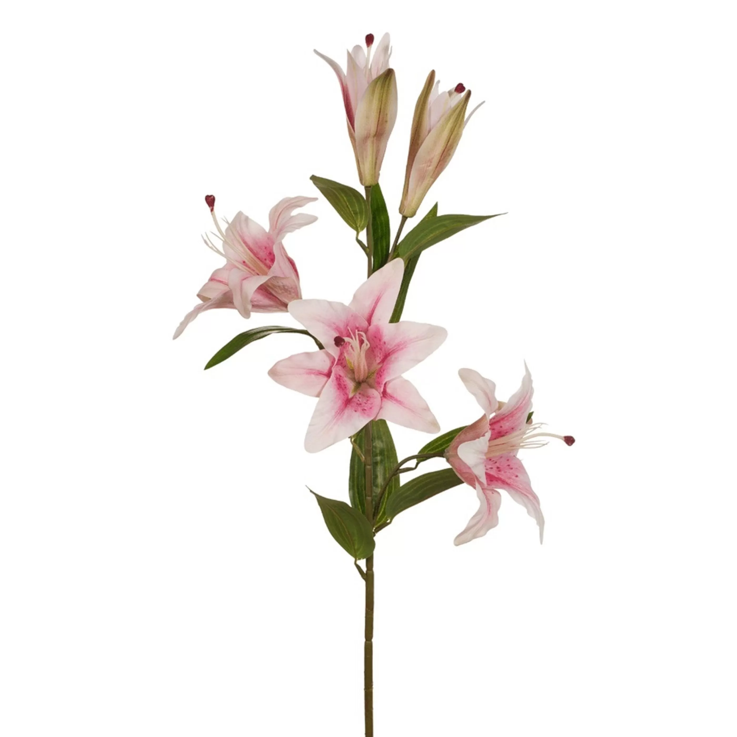 * Floristry | Pink Casablanca Lily - 99Cm