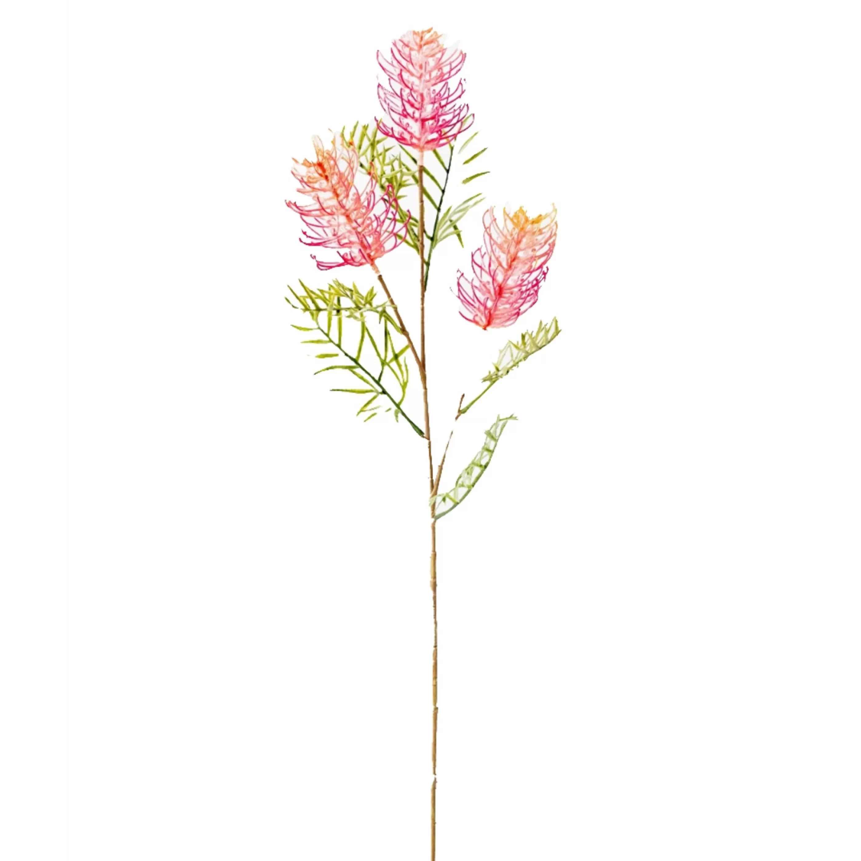 * Floristry | Pink Grevillea Spray - 82.5Cm